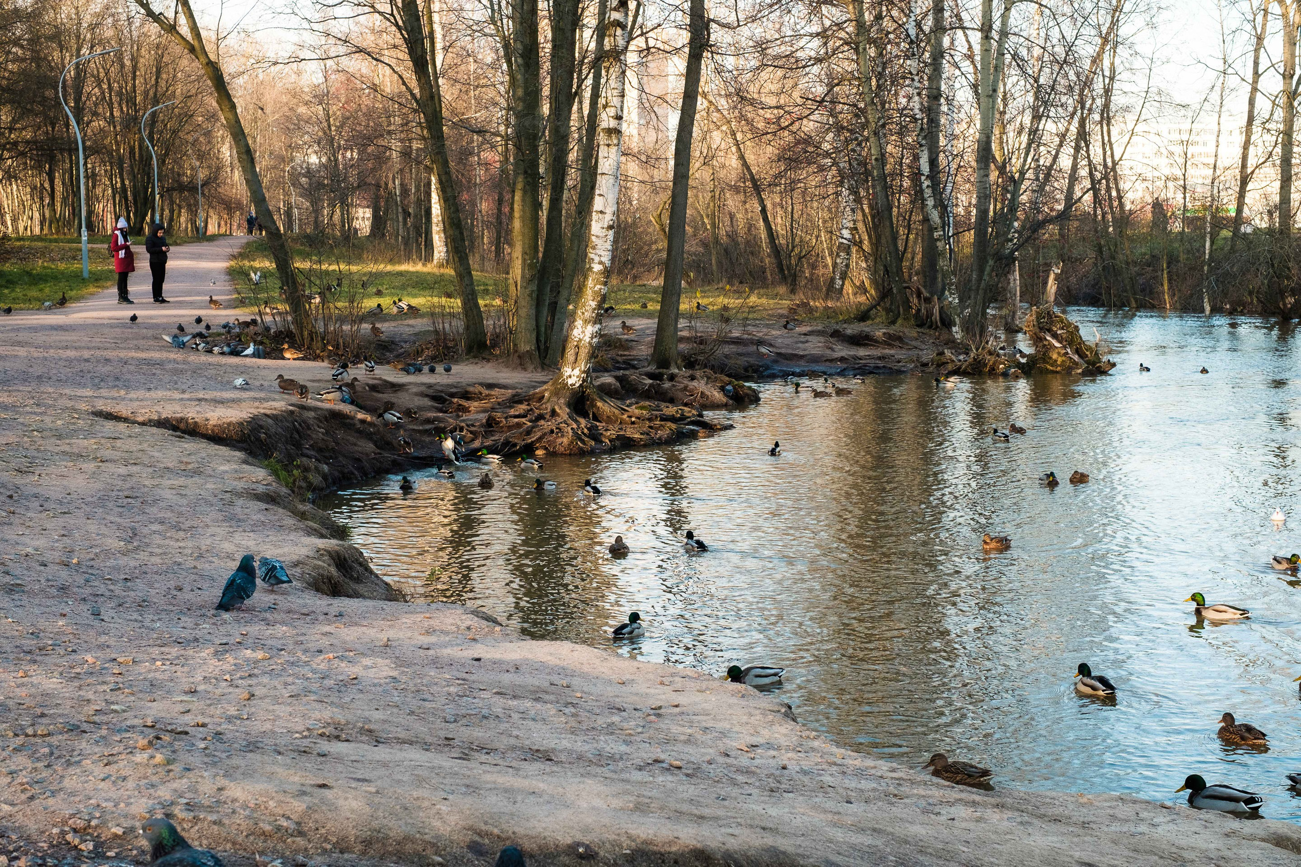 2021.11. Фотограф Алексей Алексеев