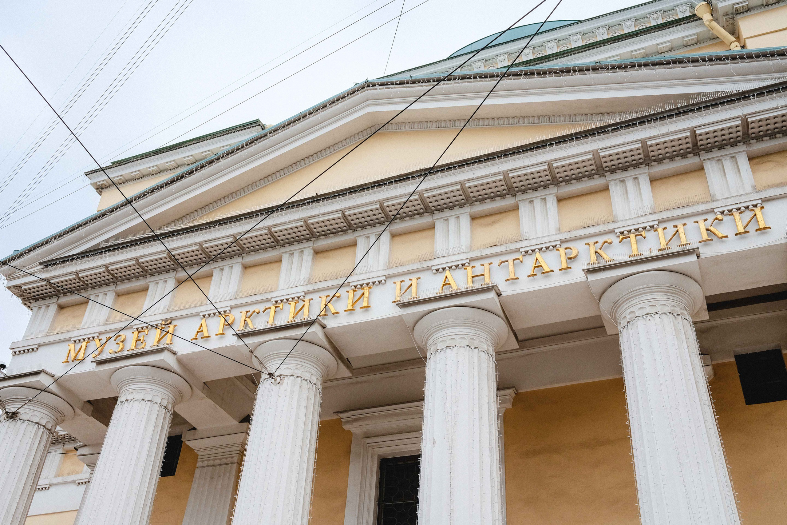 2023.07. Фотограф Алексей Алексеев