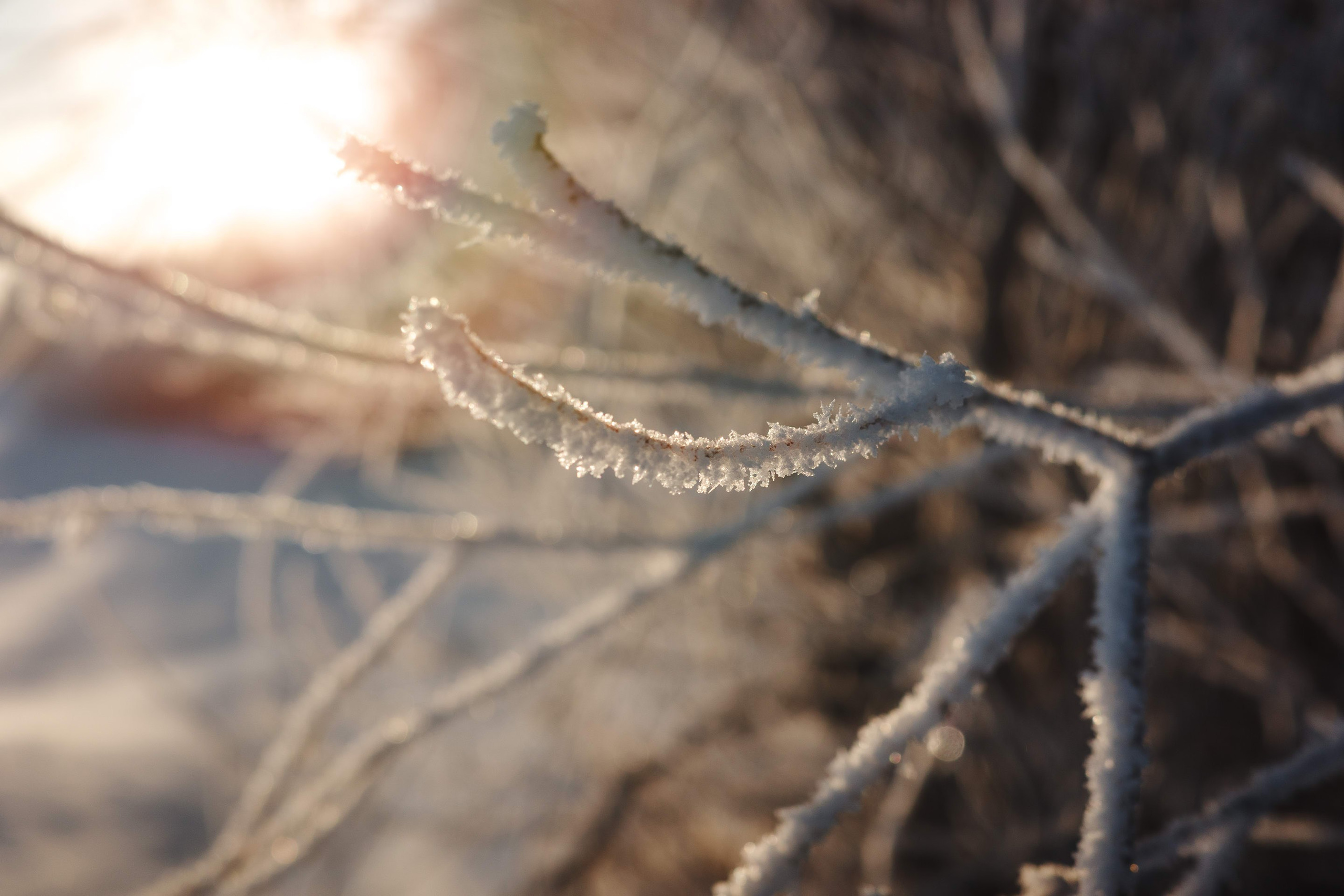 2024.01. Фотограф Алексей Алексеев