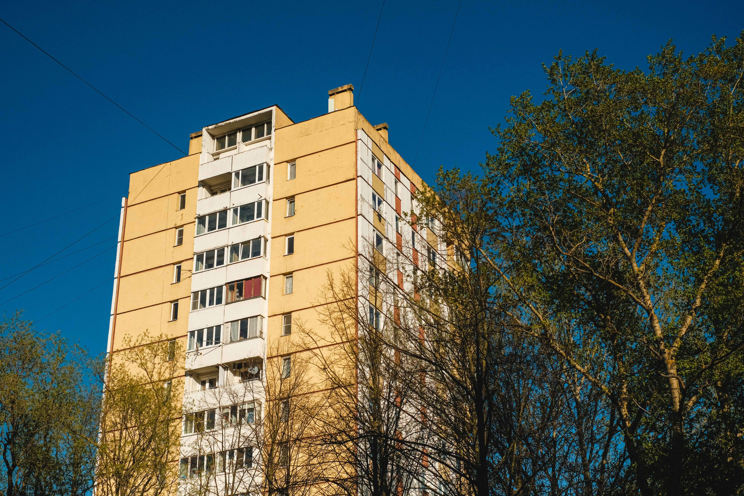 2022.05. Фотограф Алексей Алексеев