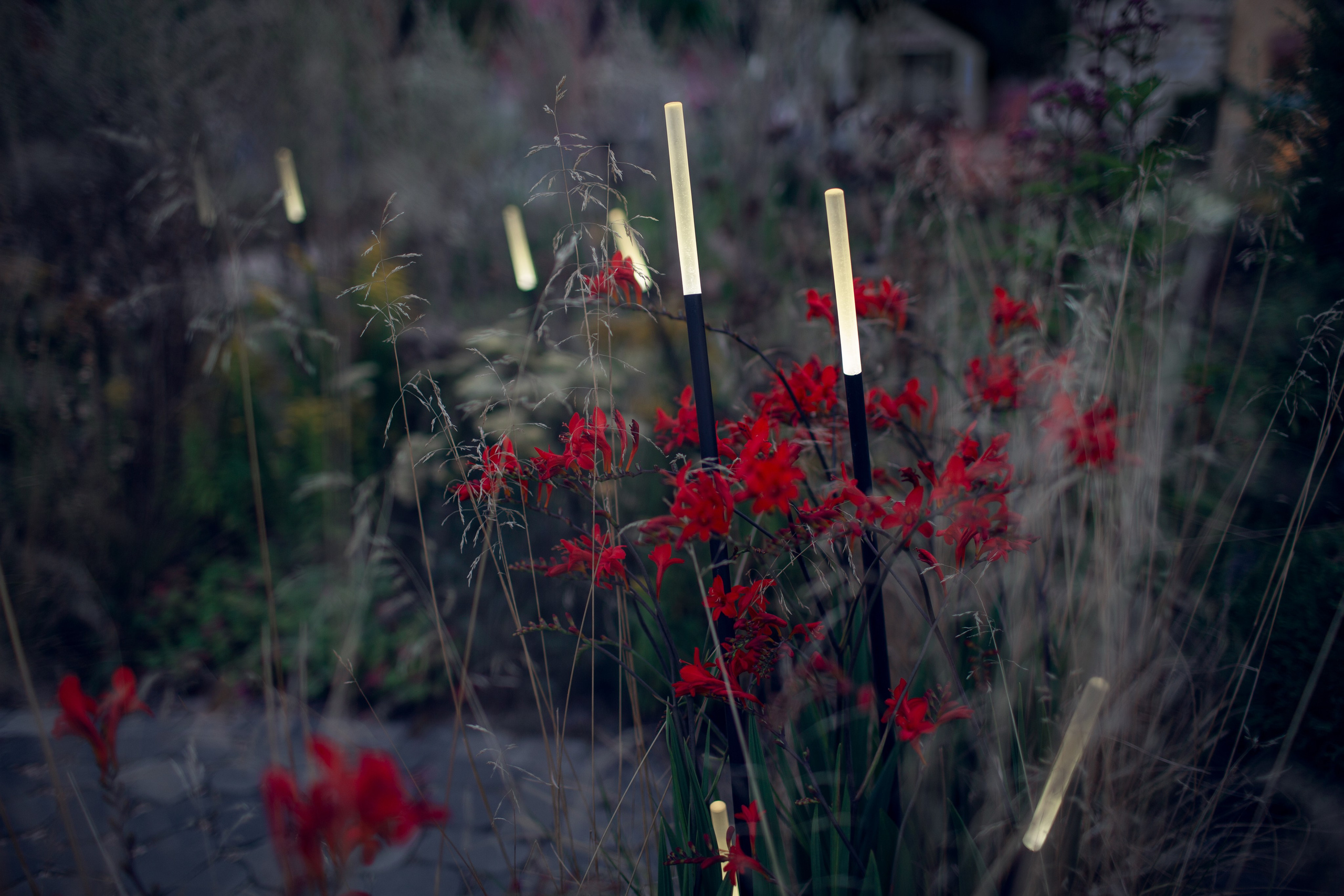 Декоративный ландшафтный свет TEMPARIUM. Фотограф Наталья Молчанова