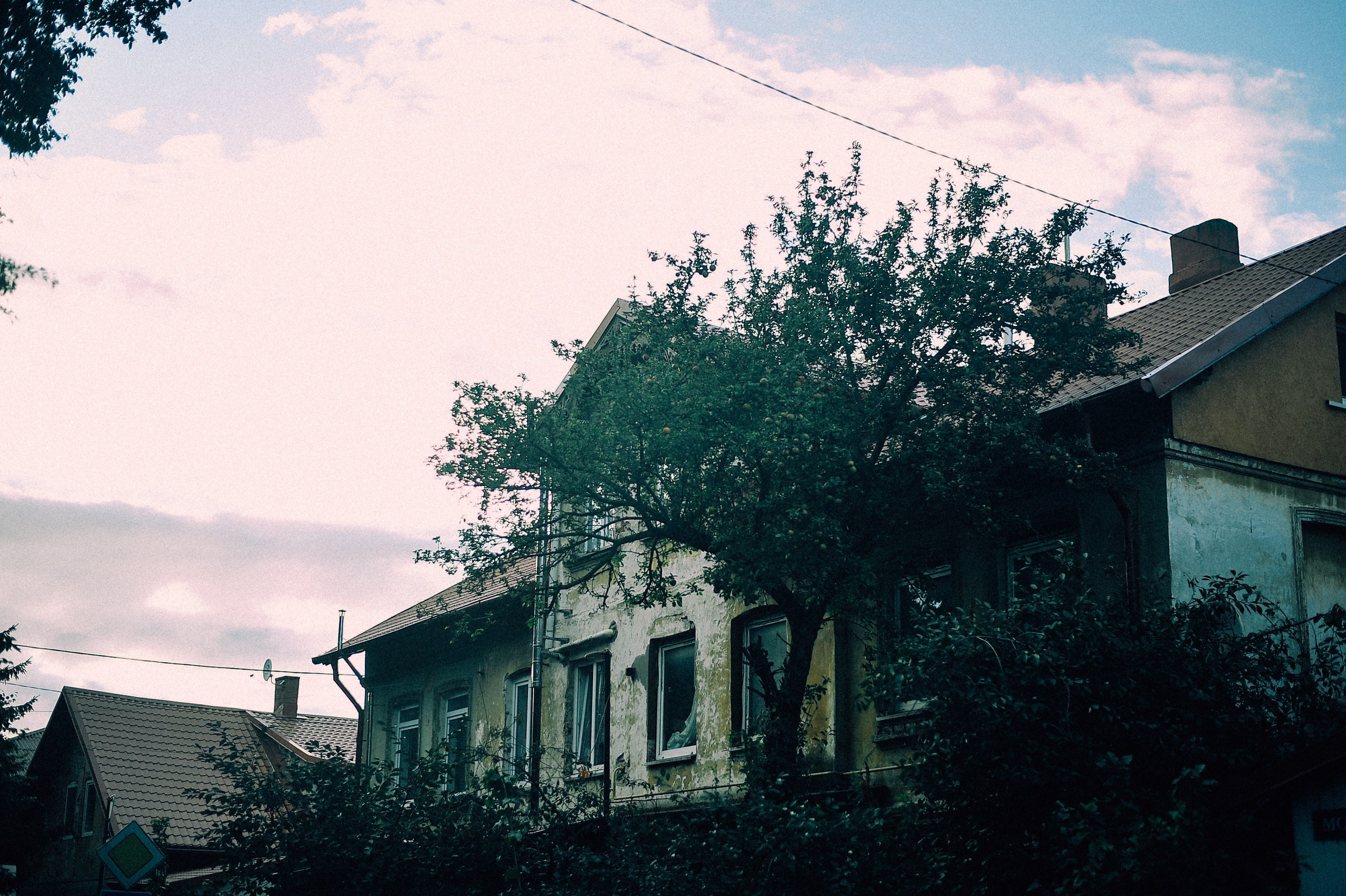 Йен в Калининграде. Элька Мурзина