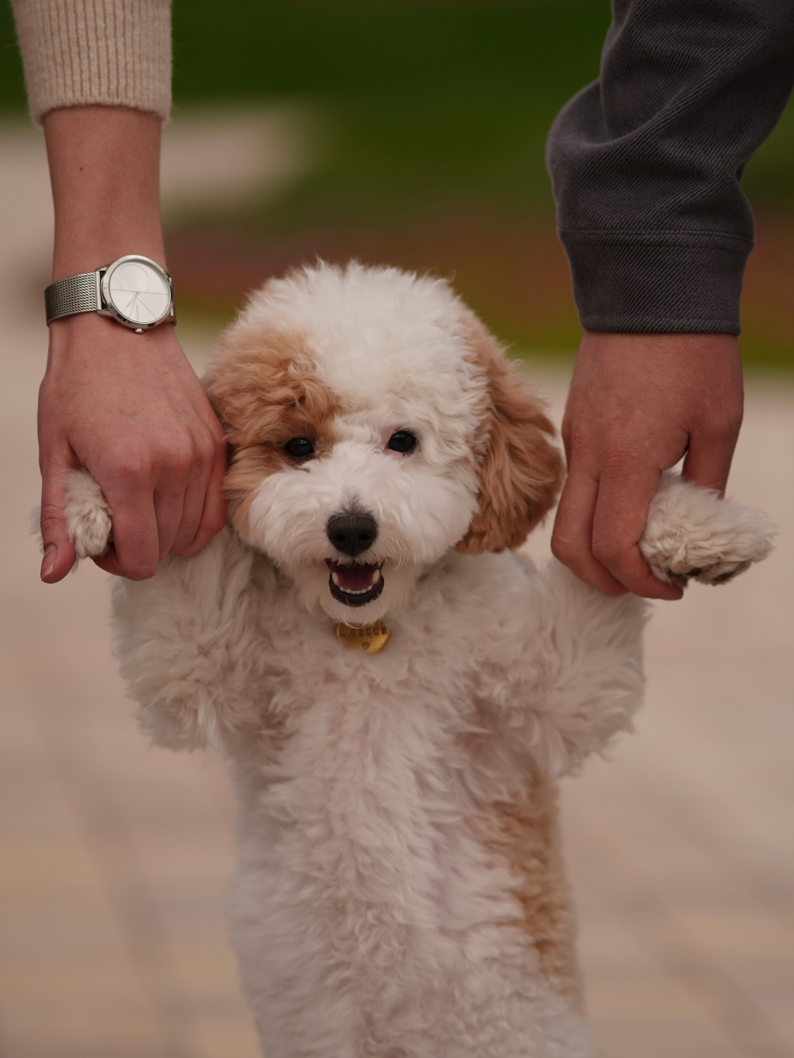 Love story. Главная