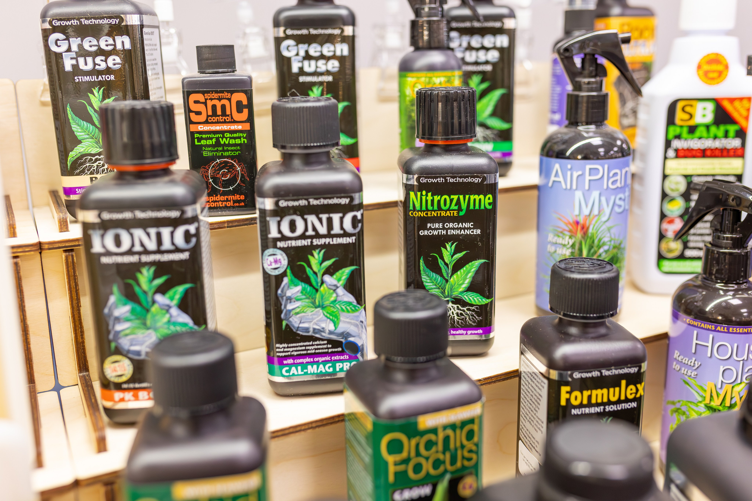 Орхидиум сентябрь 2025. Александра Куликова фотограф, Москва