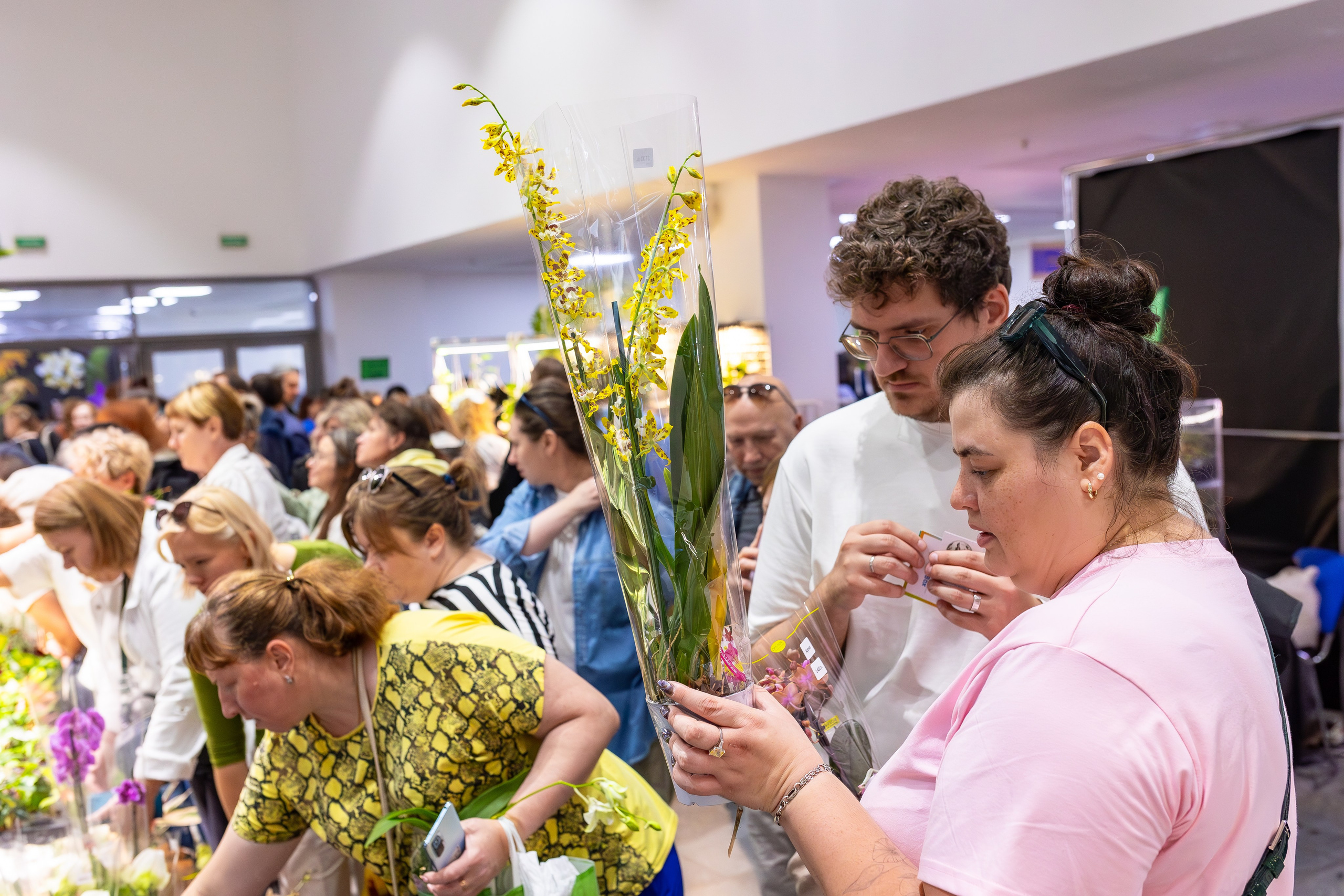 Орхидиум сентябрь 2025. Александра Куликова фотограф, Москва