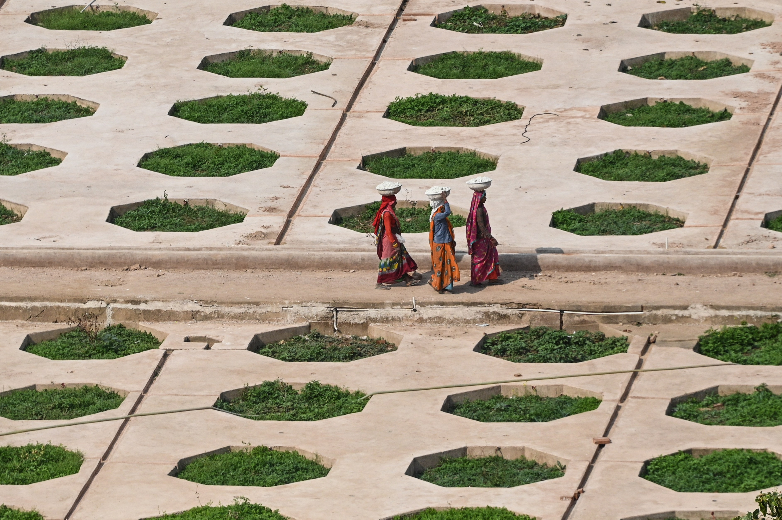 Невероятная Индия. Игорь Иванко — Репортажный и событийный фотограф. Москва