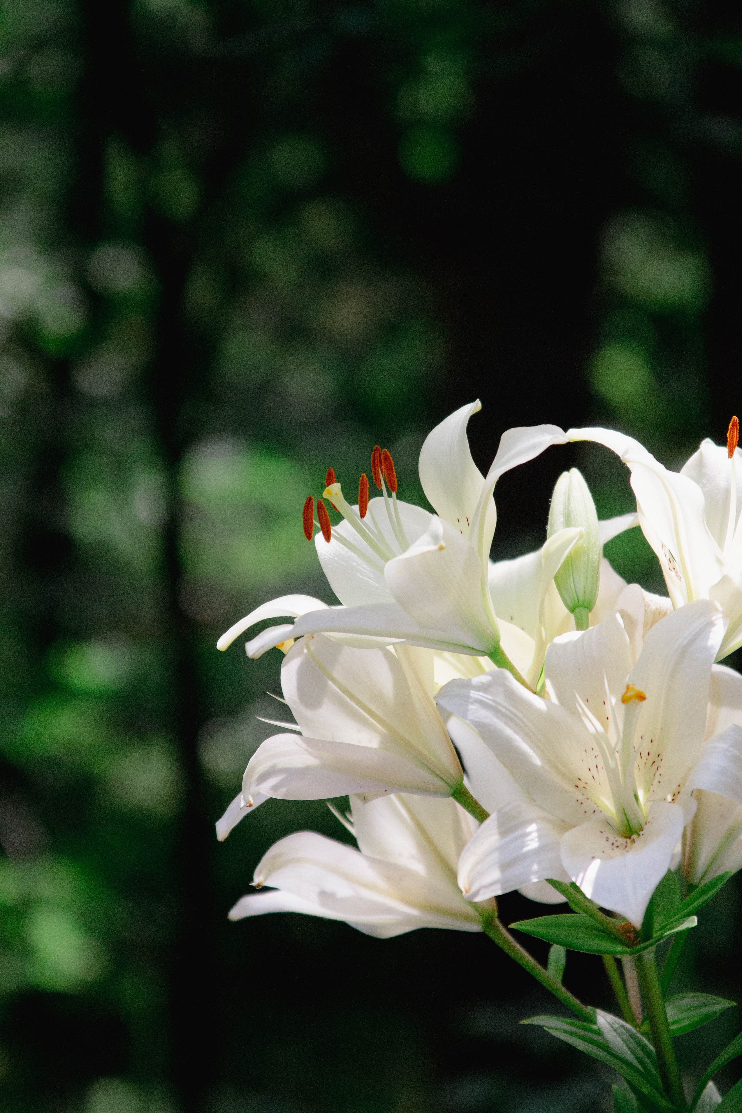 Поляна 2025. Фотограф Маша Корнеева