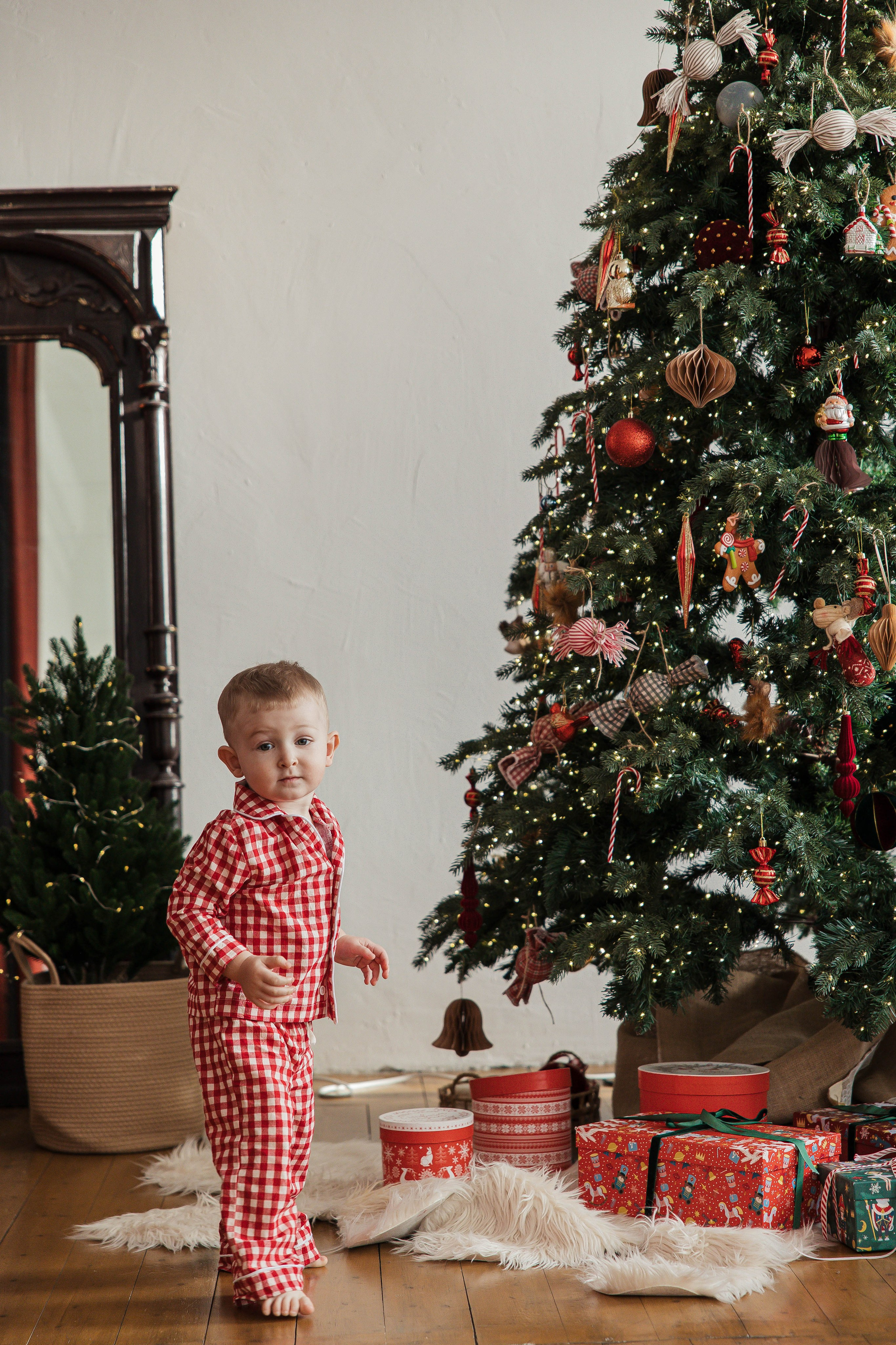 Маленький Лев. Главная