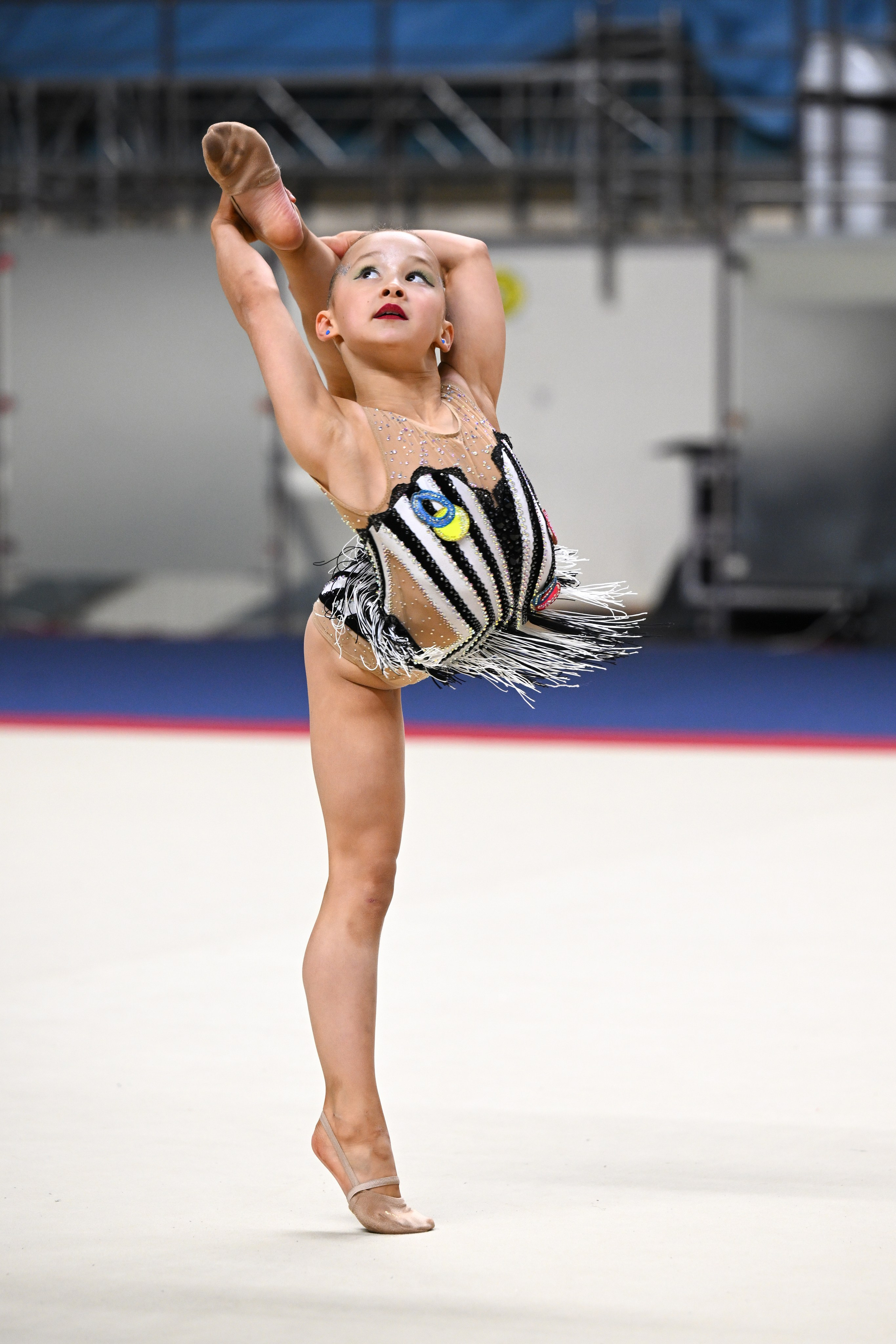 ФОТОВИДЕОСПОРТ. Фото видео услуги на соревнованиях по художественной гимнастике. Видеотрансляция соревнований. Москва, ЦФО, ПФО