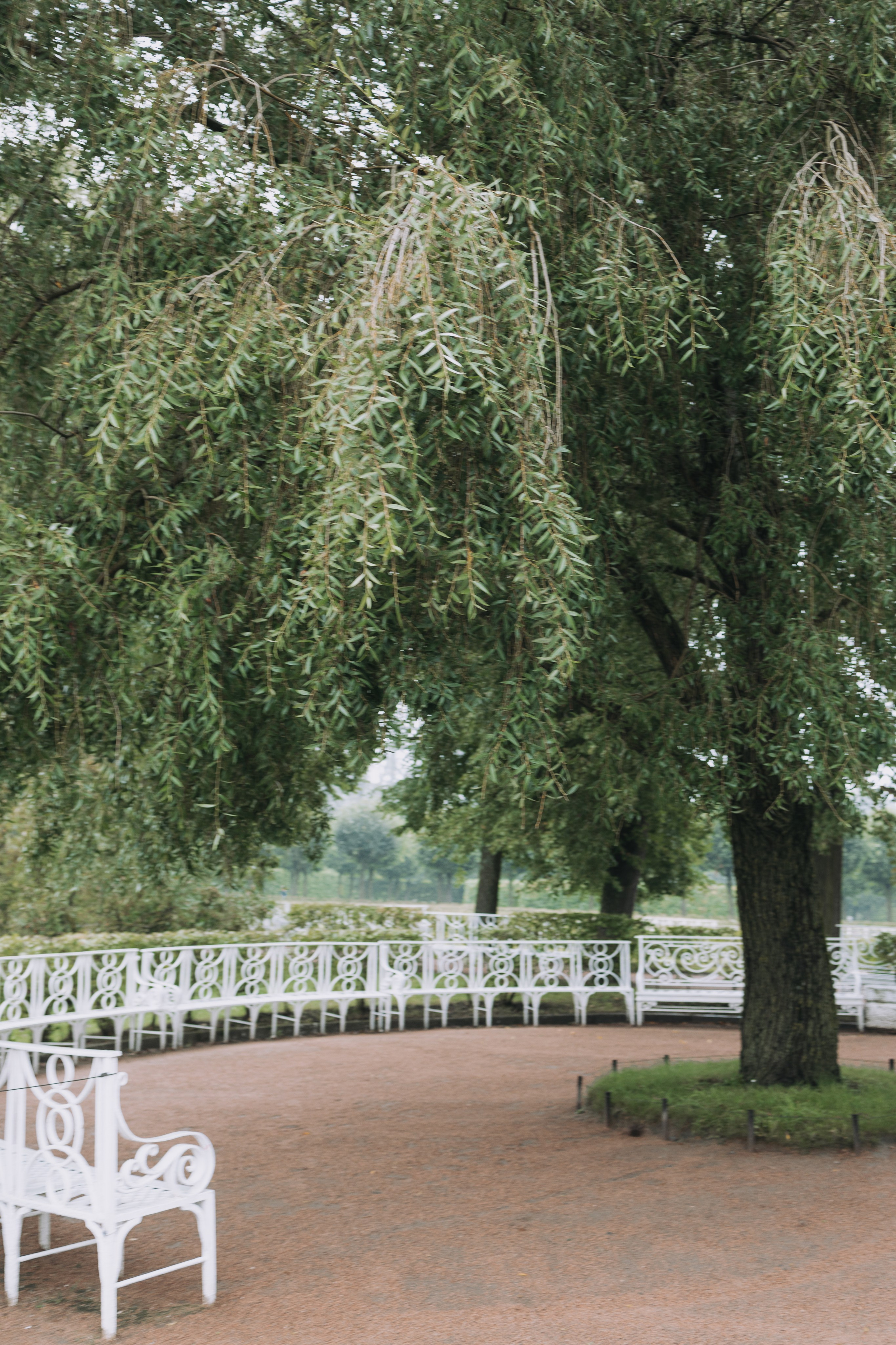 Марина и Андрей. Репортажный фотограф Анастасия Головко