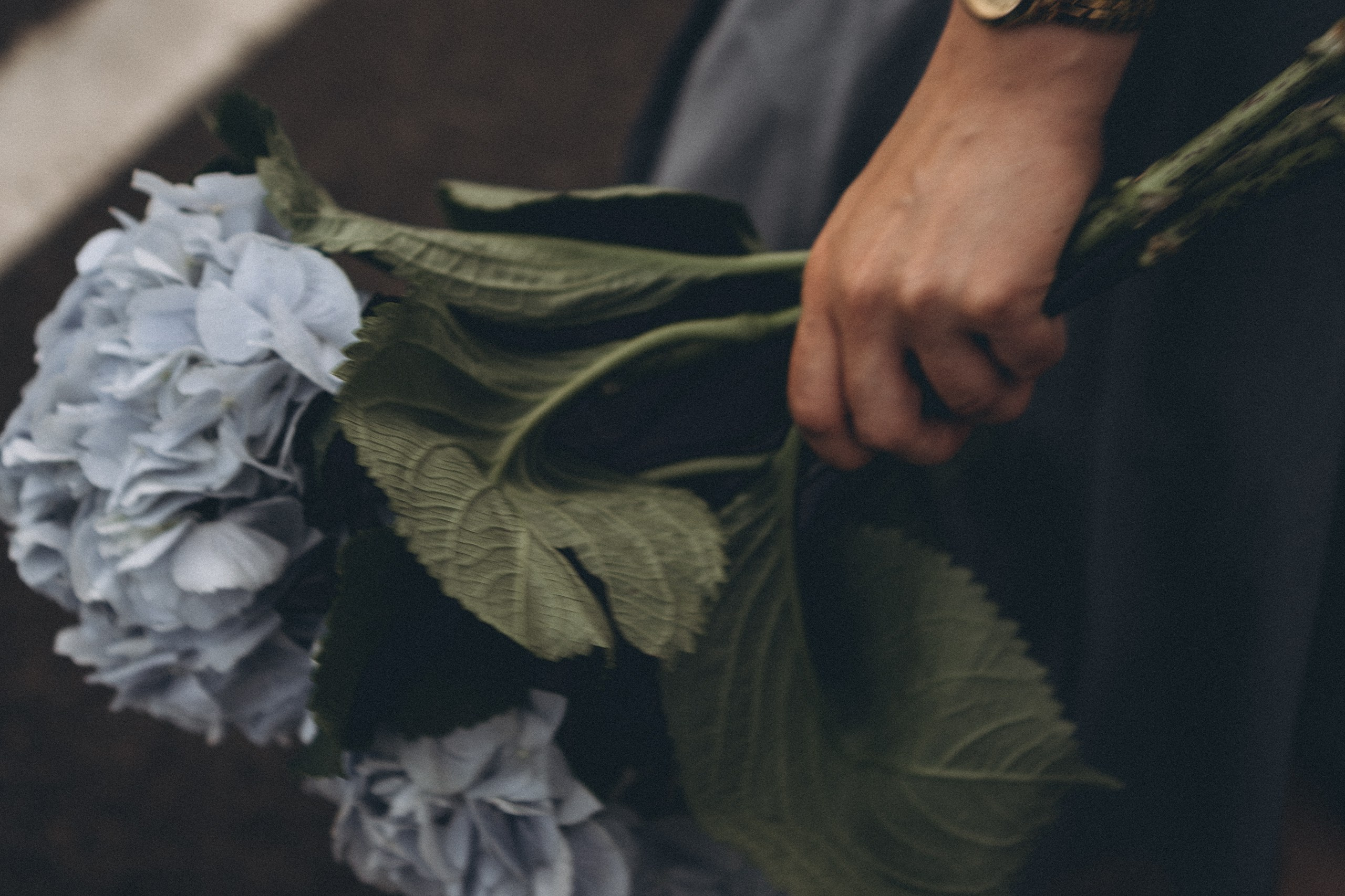Июльский вечер. Профессиональный фотограф, Санкт-Петербург — Виктория Богомолова