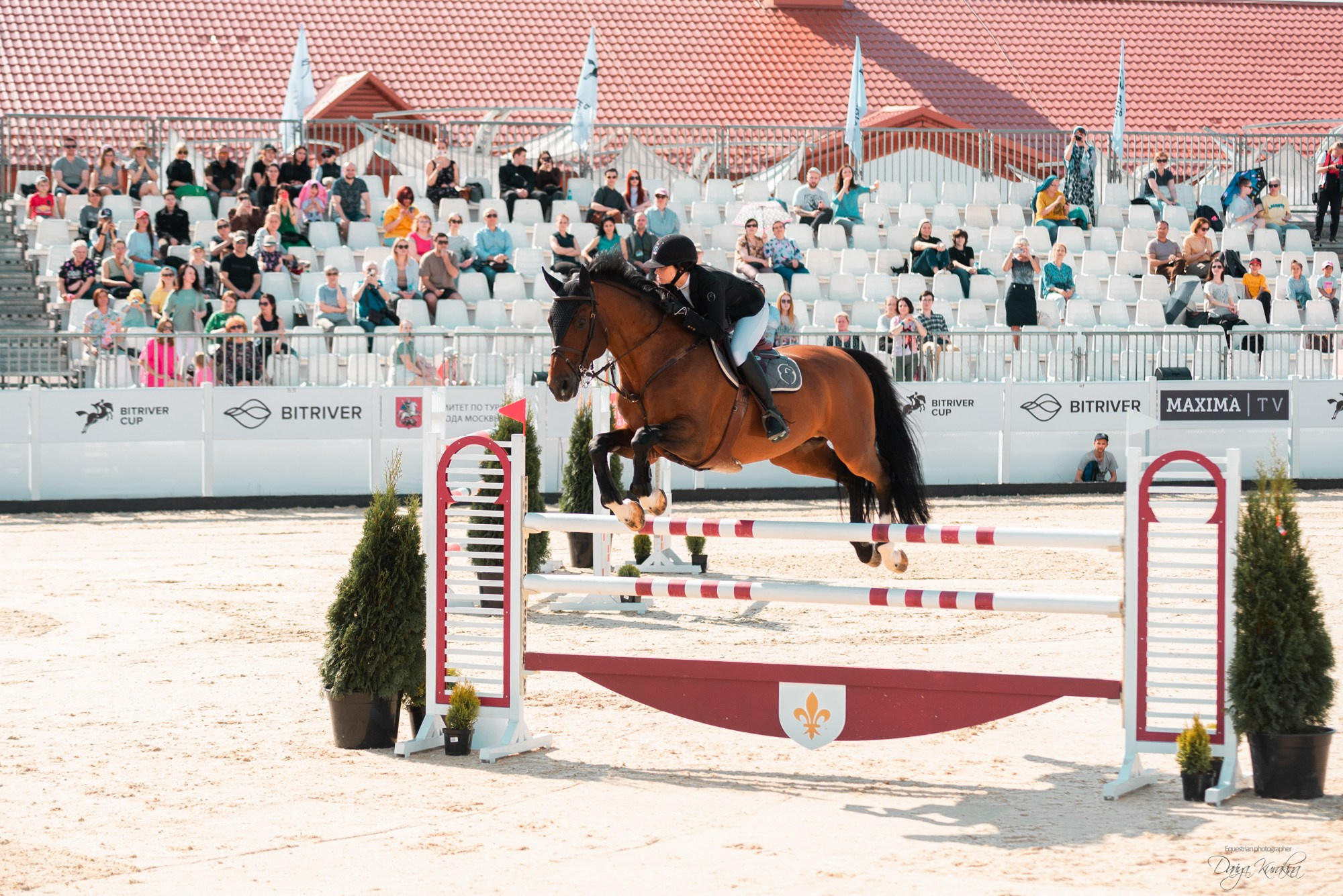 BITRIVER CUP 2023. Конный фотограф Куракина Дарья • Фотосессии с лошадьми