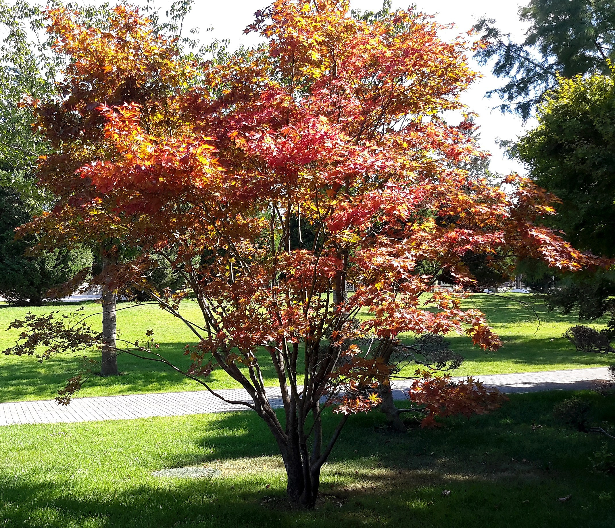 Репортажная съемка. Фотограф Славянск на Кубани