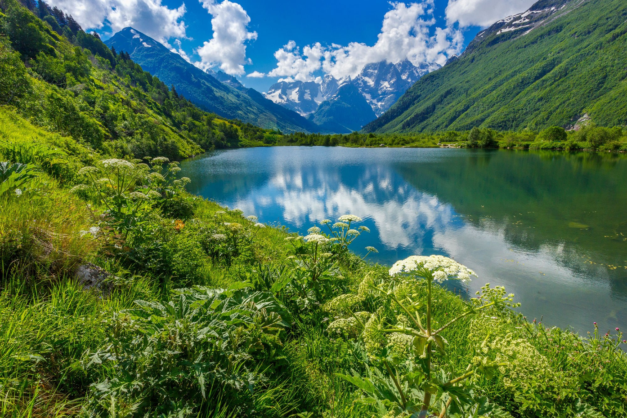 Свадебный фотограф в Геленджике
