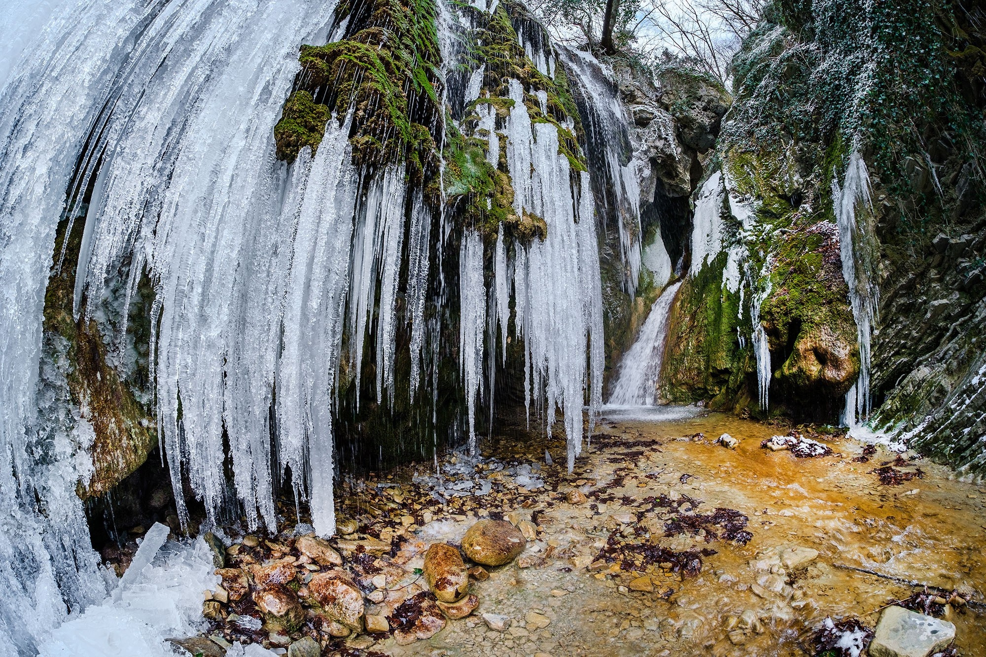 Природа — разное