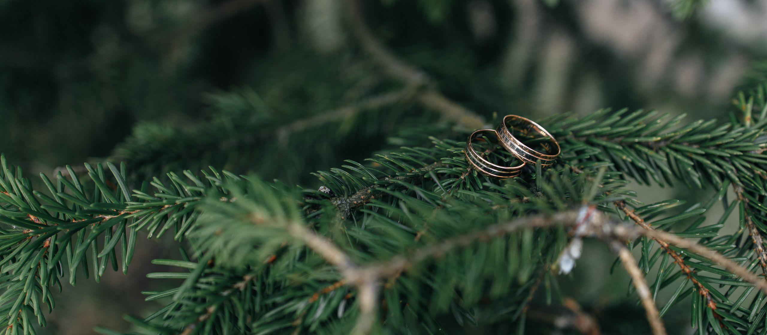 Свадьба в Смоленске. Ресторан Лофт. Свадебный фотограф Вашкевич Денис