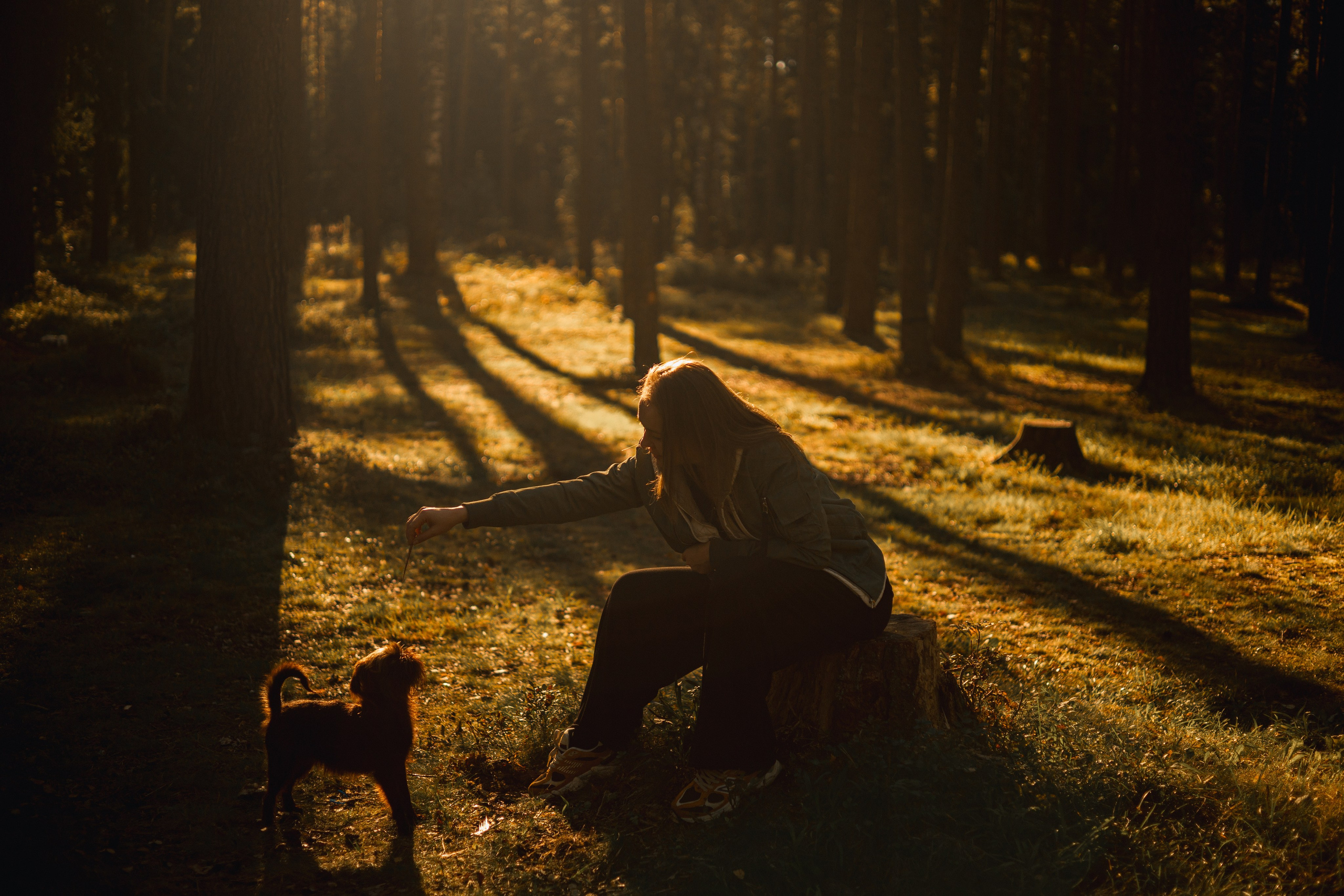 Катерина & Лунка. Фотограф — анималист •love-story•|Санкт-Петербург