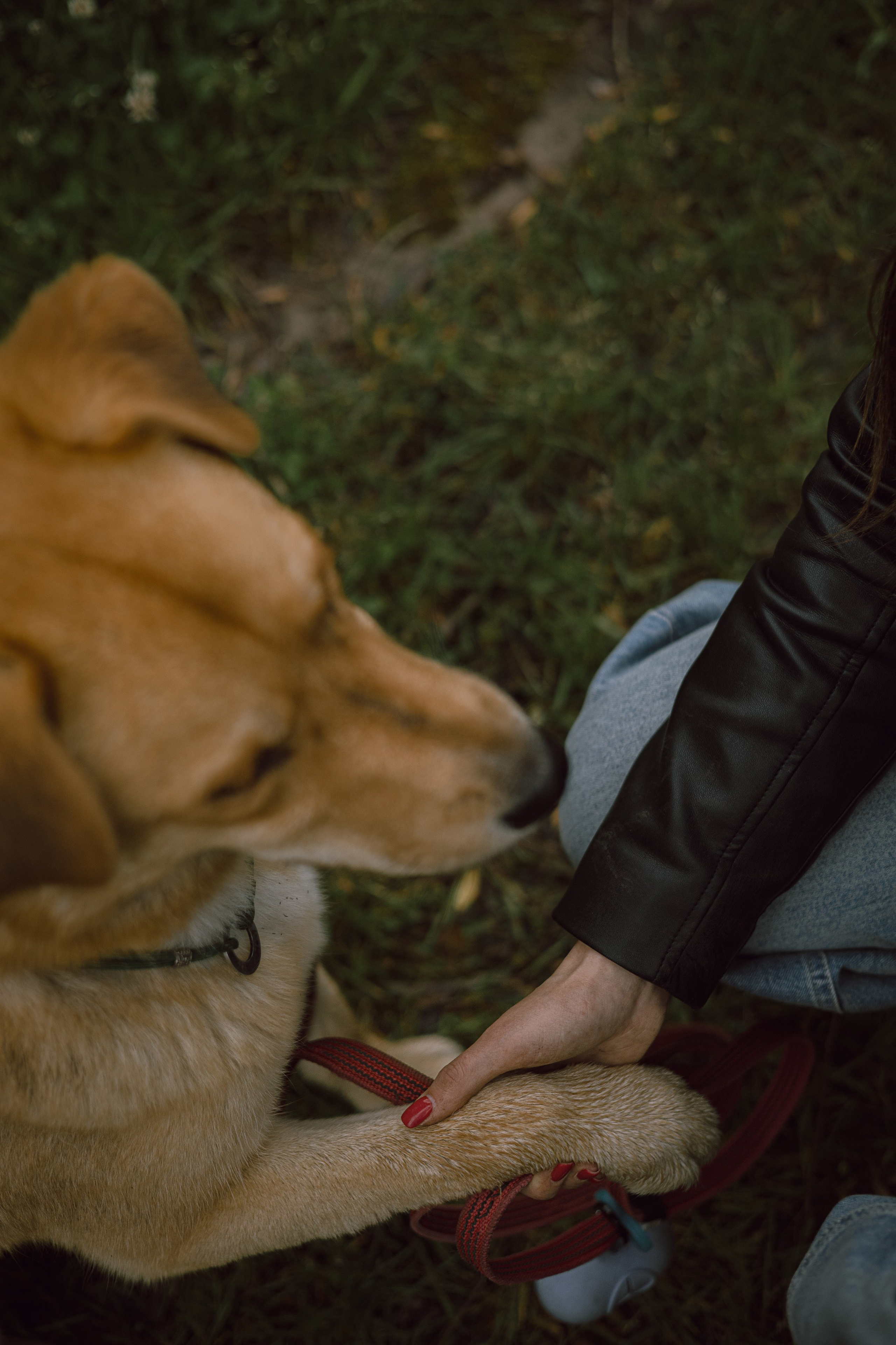 Света и Берт. Фотограф — анималист •love-story•|Санкт-Петербург