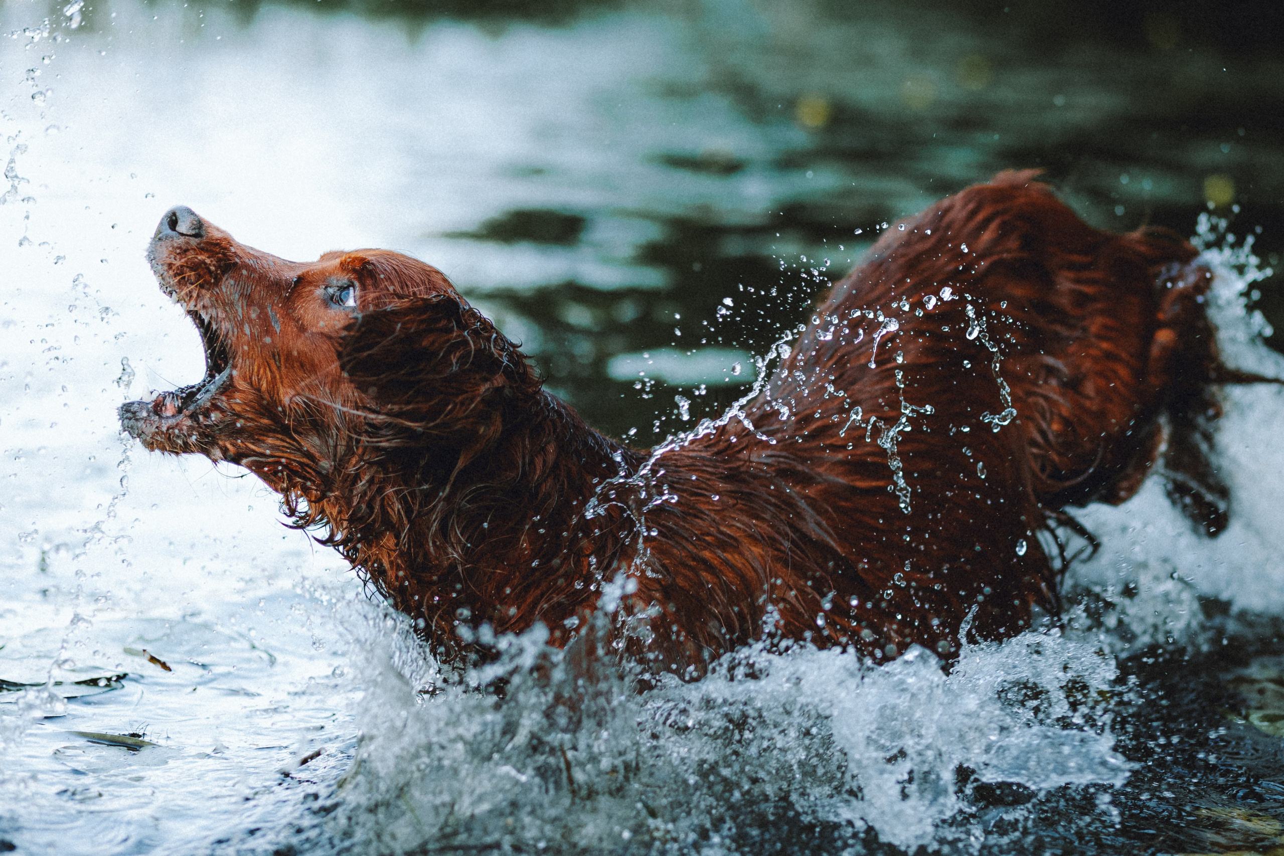 Маша и Джерри