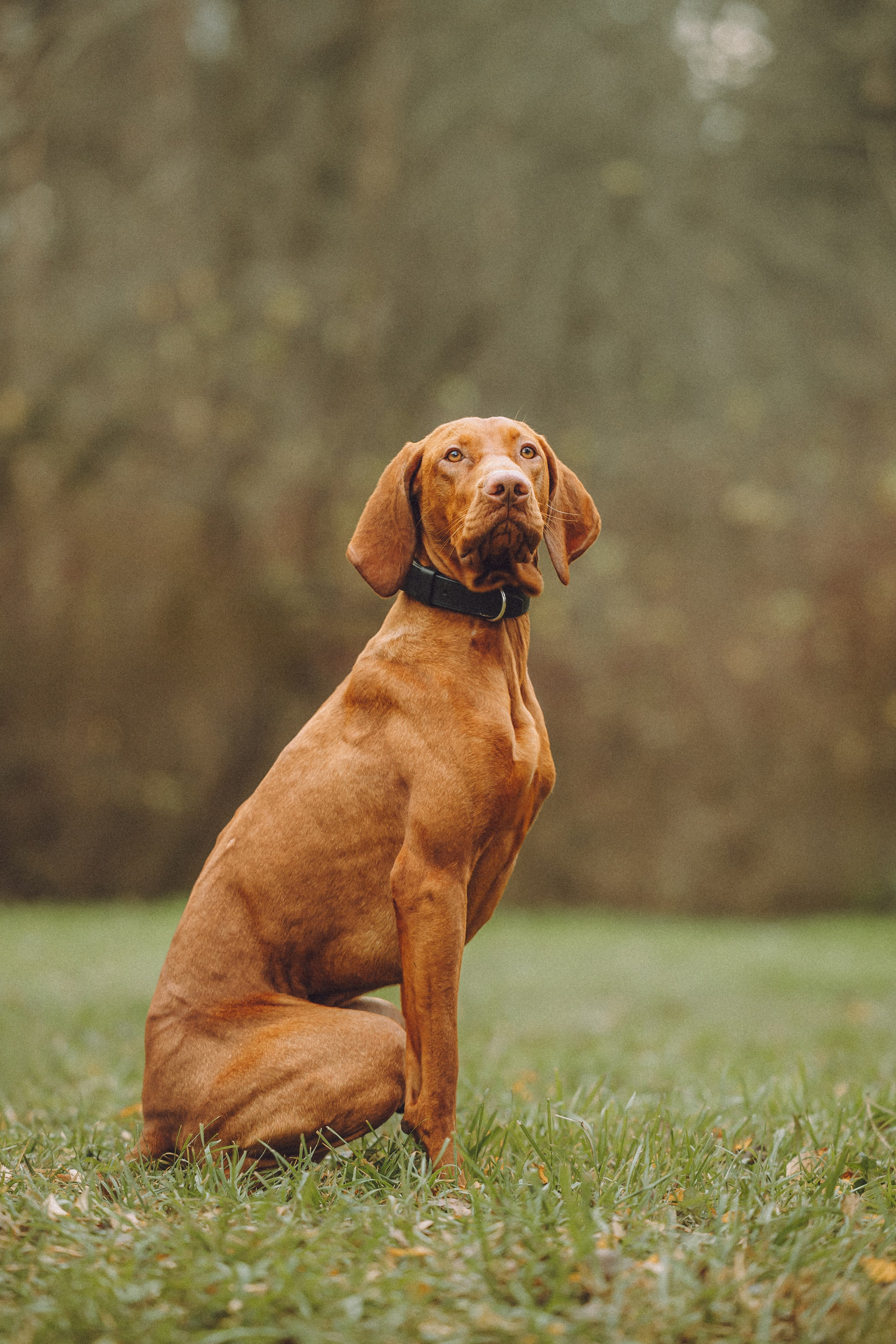 Дориан и его семья