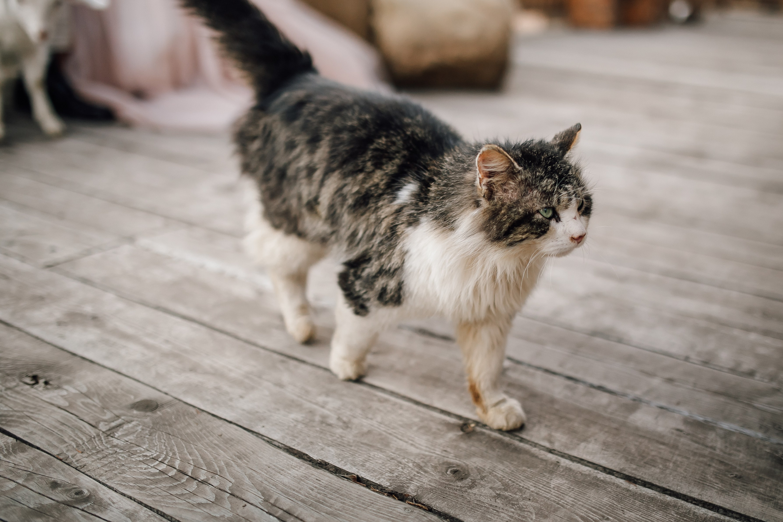 ANNA&MARK. Anastasiia Vainer – Hochzeits- und Porträtfotografin in Deutschland und ganz Europa