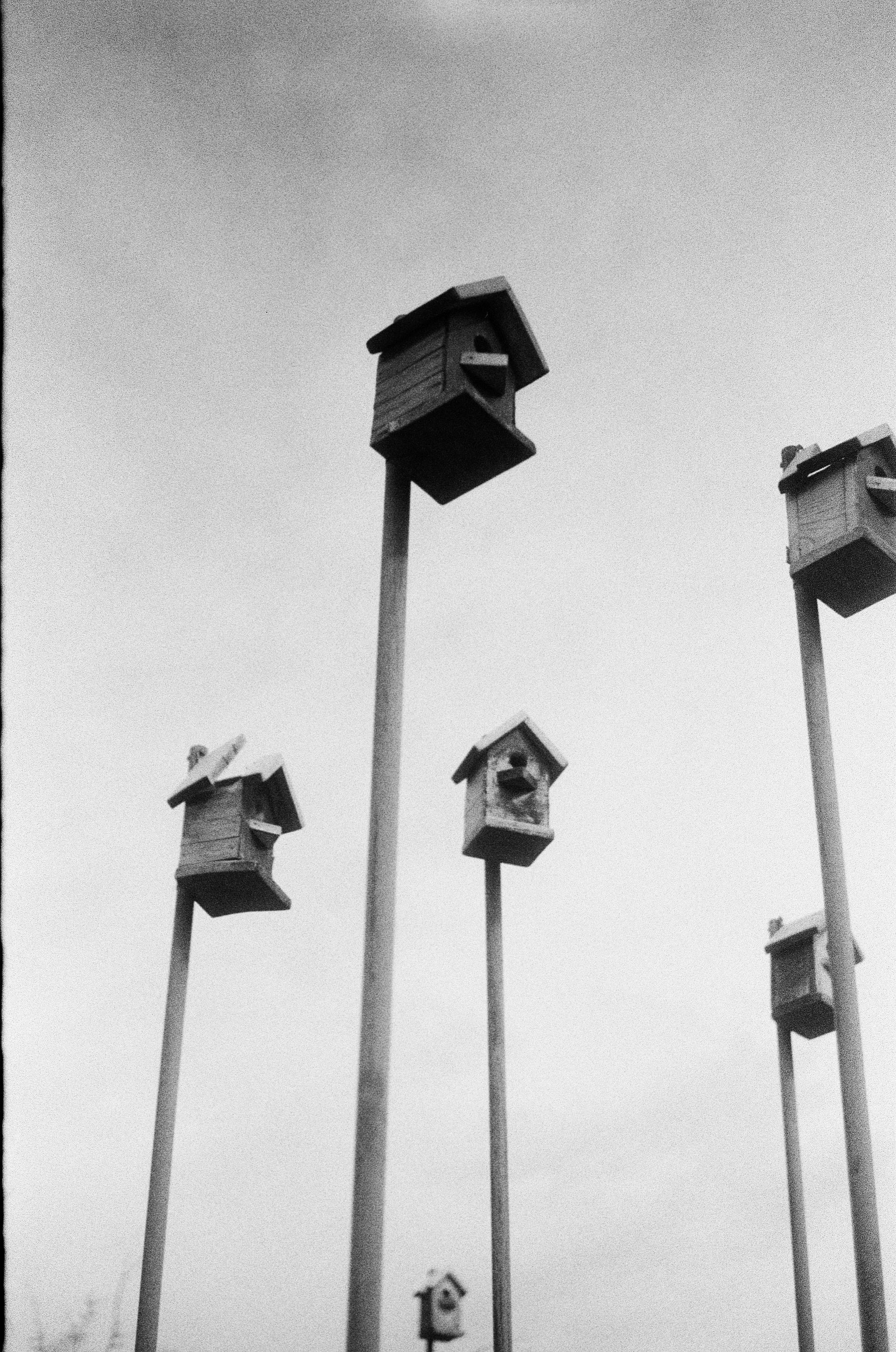 Test Film. Dmitriy [KCCC] is a pretty cool photographer