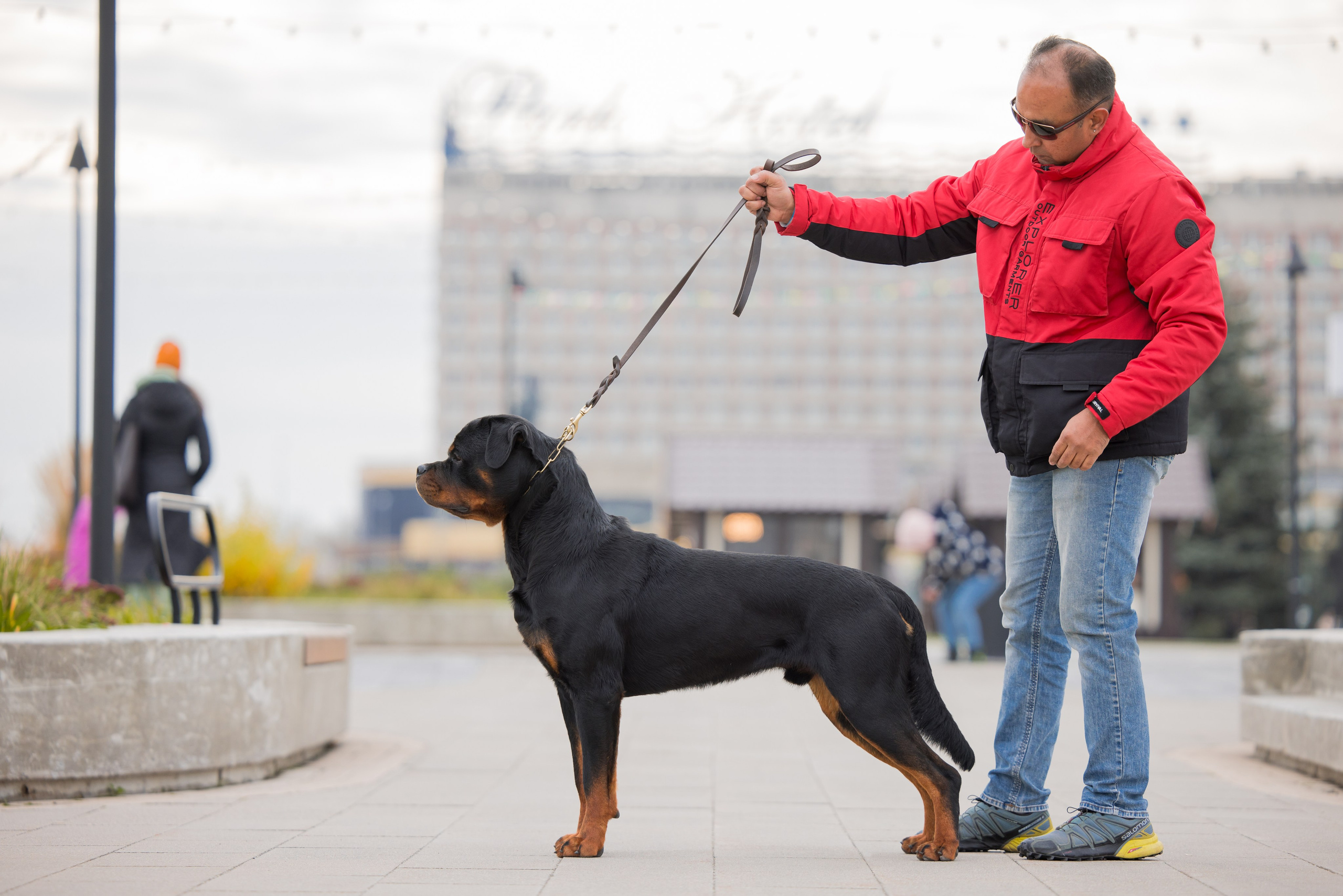 Нижний Новгород 21-22.10.2023. Фотограф-анималист Юлия Германика