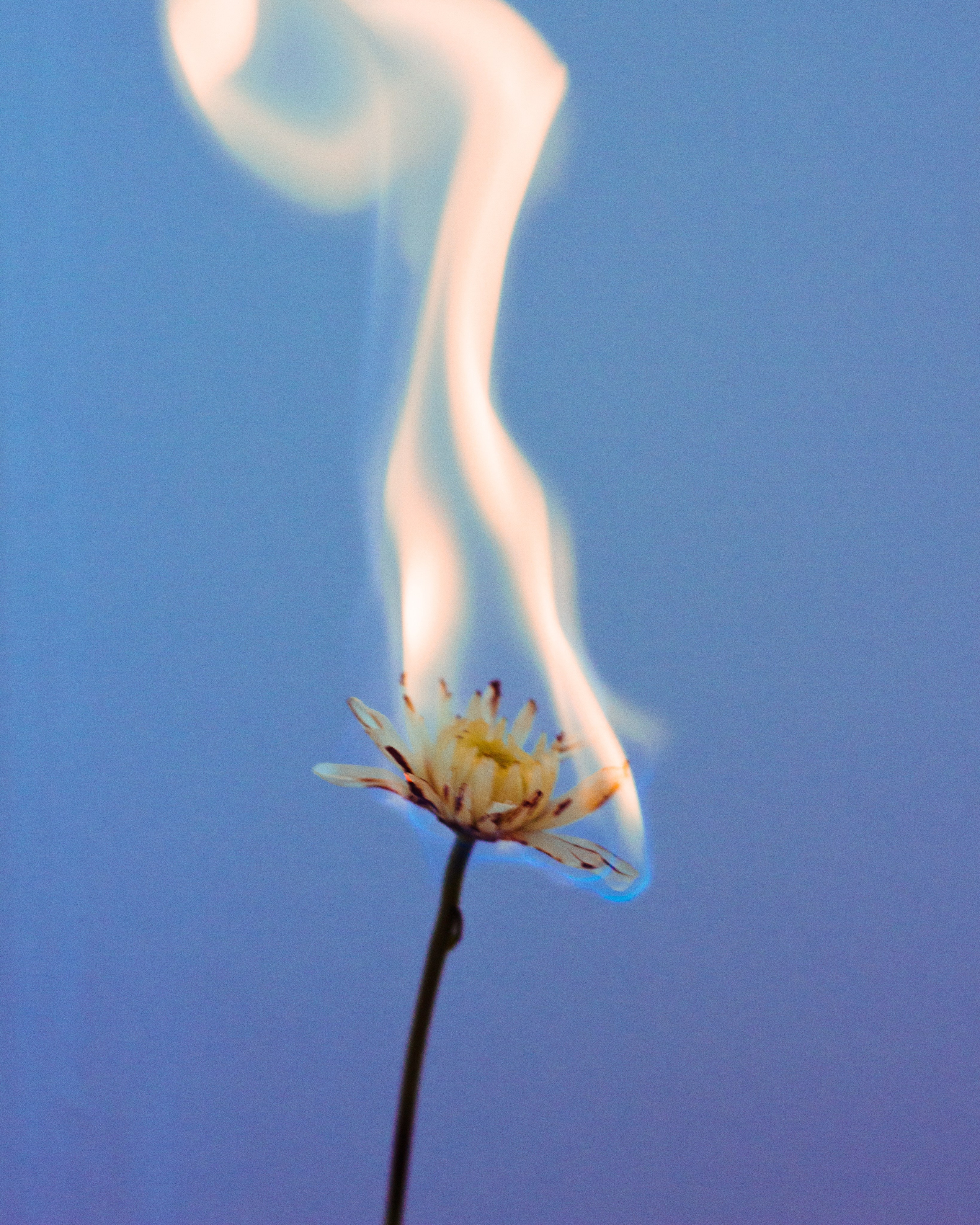 ART. Фотограф Анна Апрельская Москва| Moscow Anna Aprelskaya Photographer