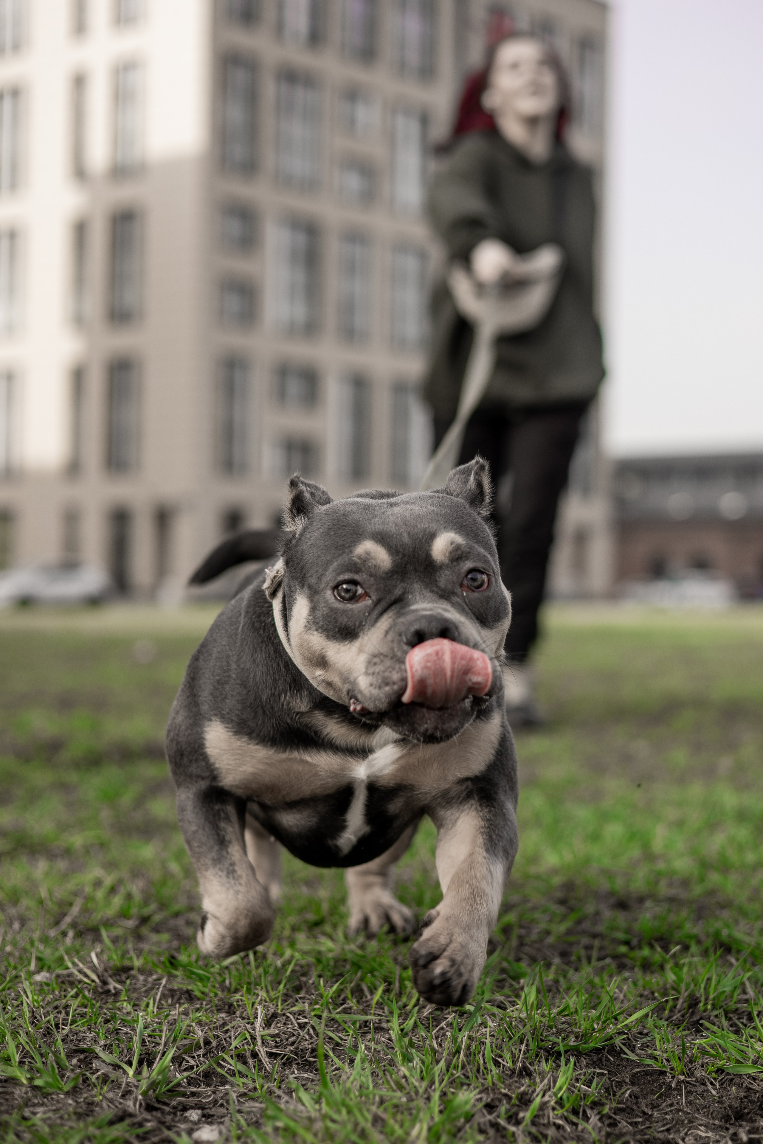 Виктория и Боня. Фотограф животных Евгения Верцинская