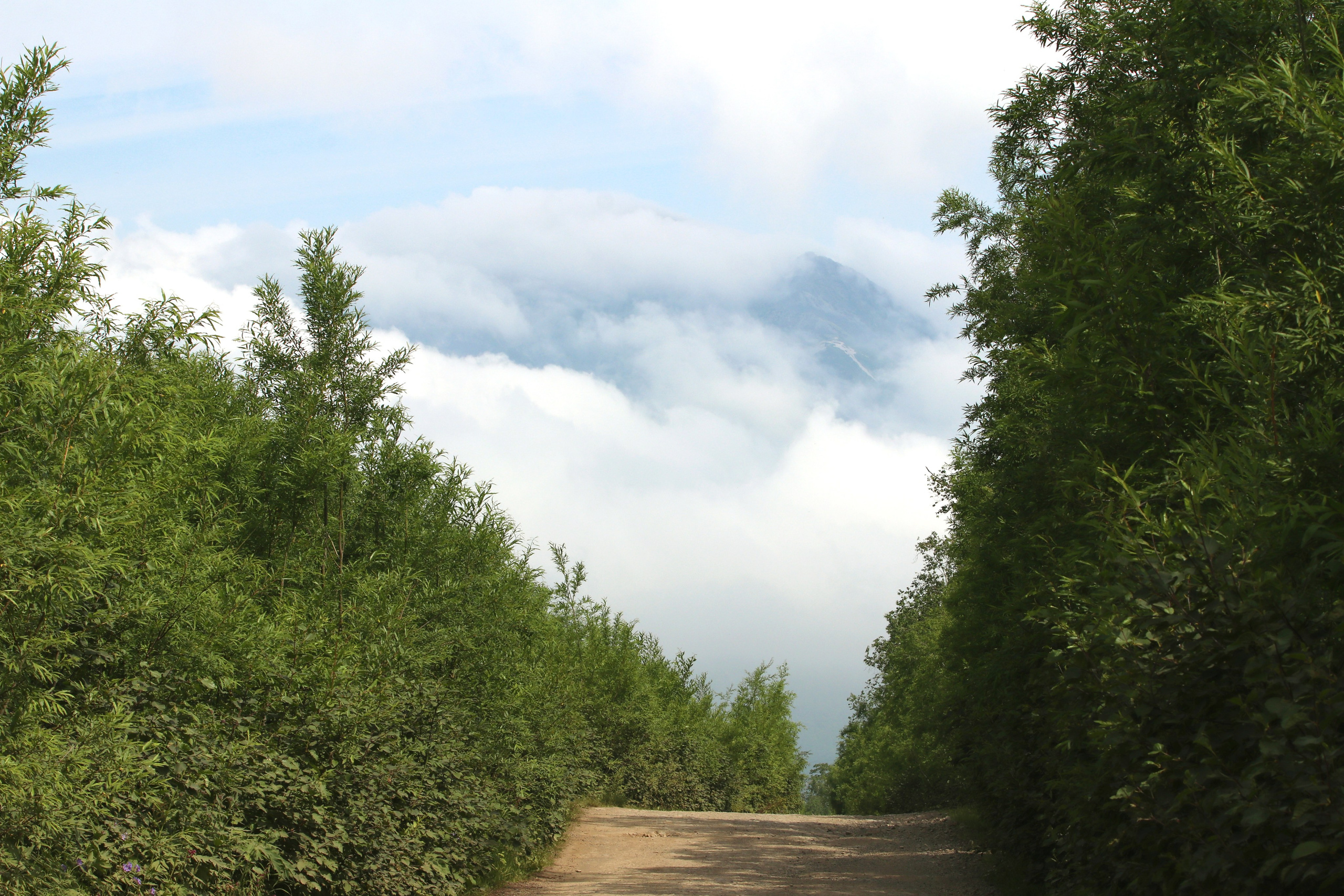 Камчатка и о. Парамушир. Июль 2024. Путешественник-фотограф из Санкт-Петербурга Татьяна Свистулина