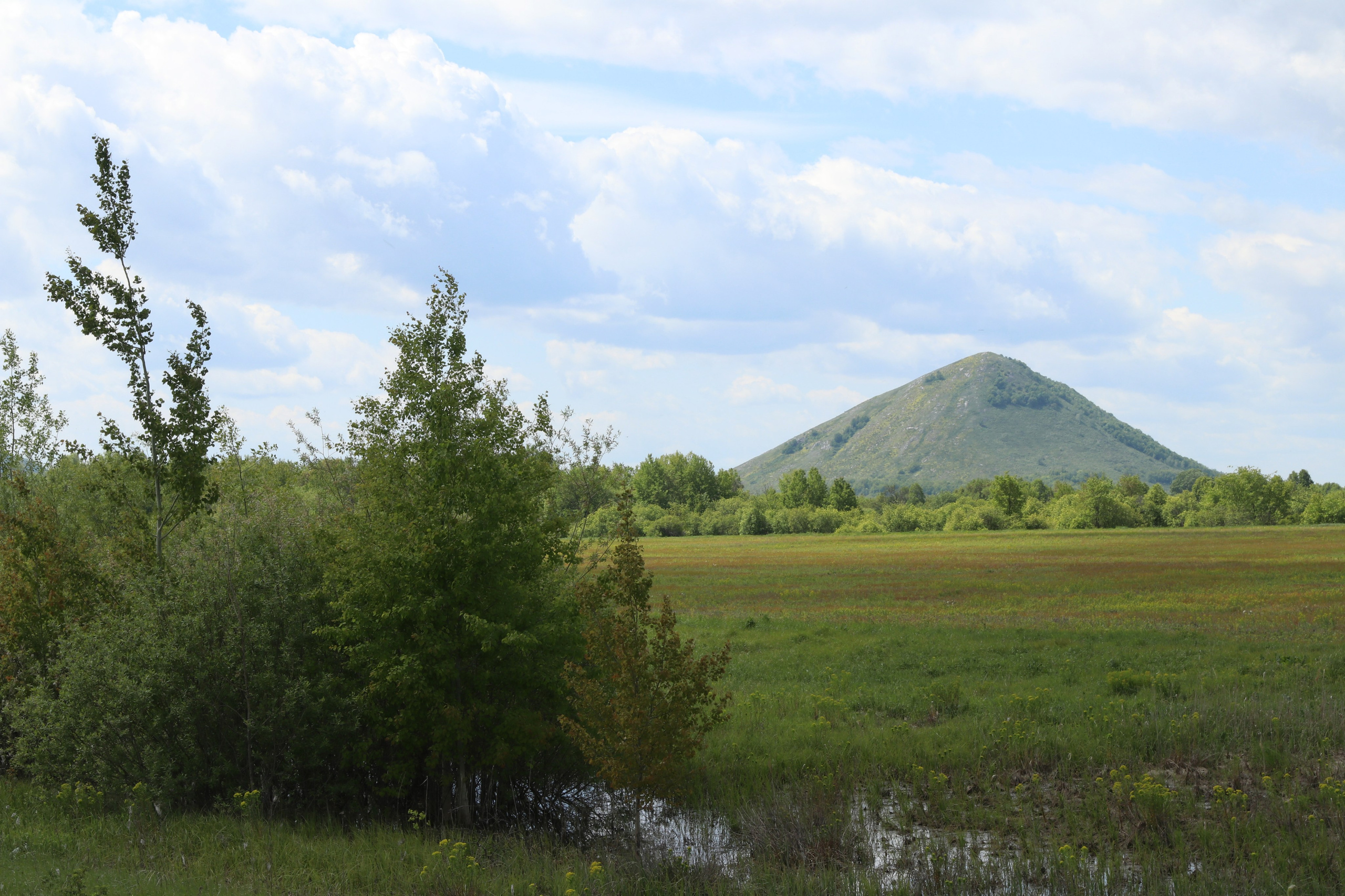 Велопоход Уфа — Мелеуз. Май 2024. Путешественник-фотограф из Санкт-Петербурга Татьяна Свистулина