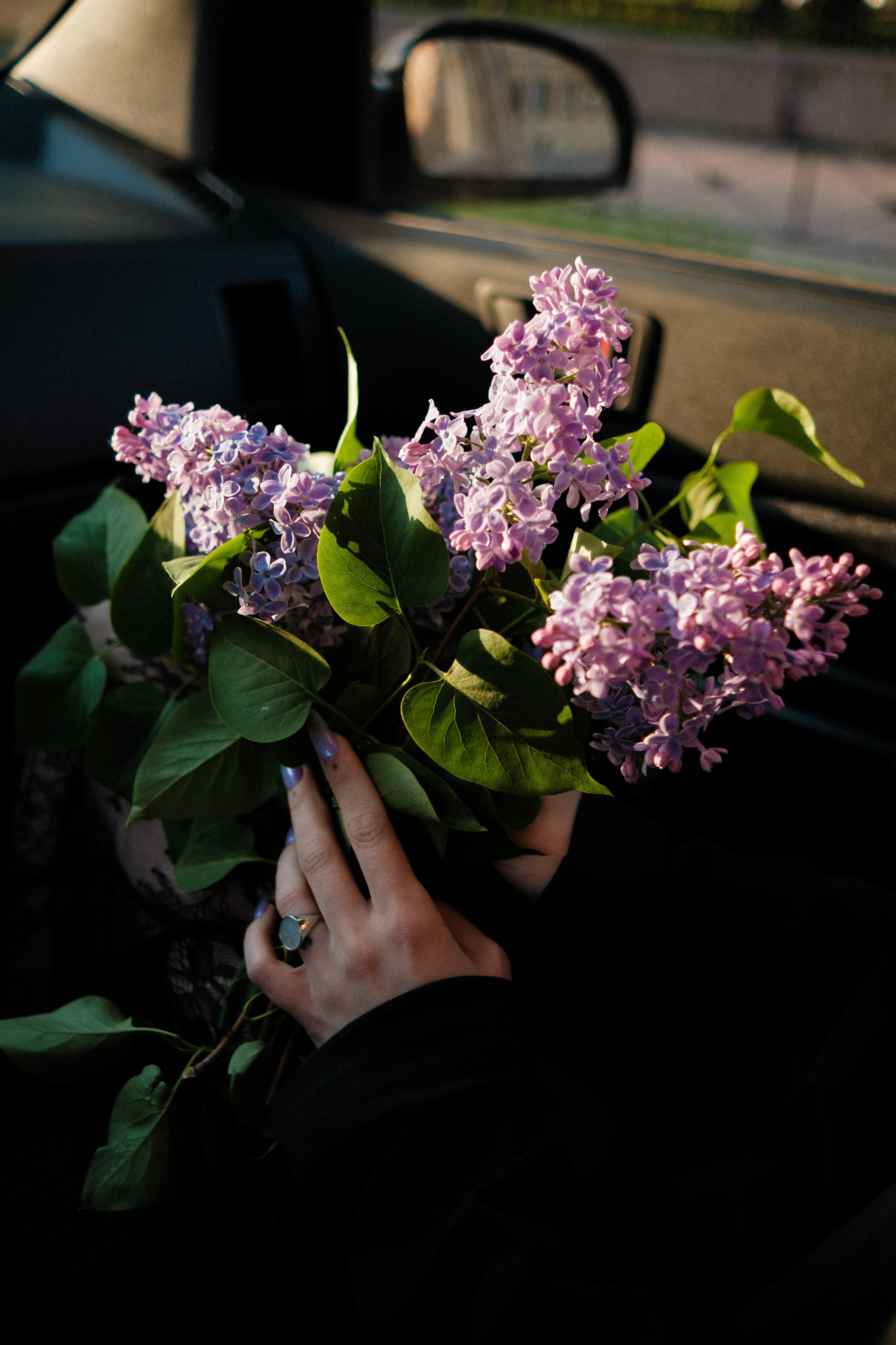 Утром на марсовом поле. Михаил Долганов