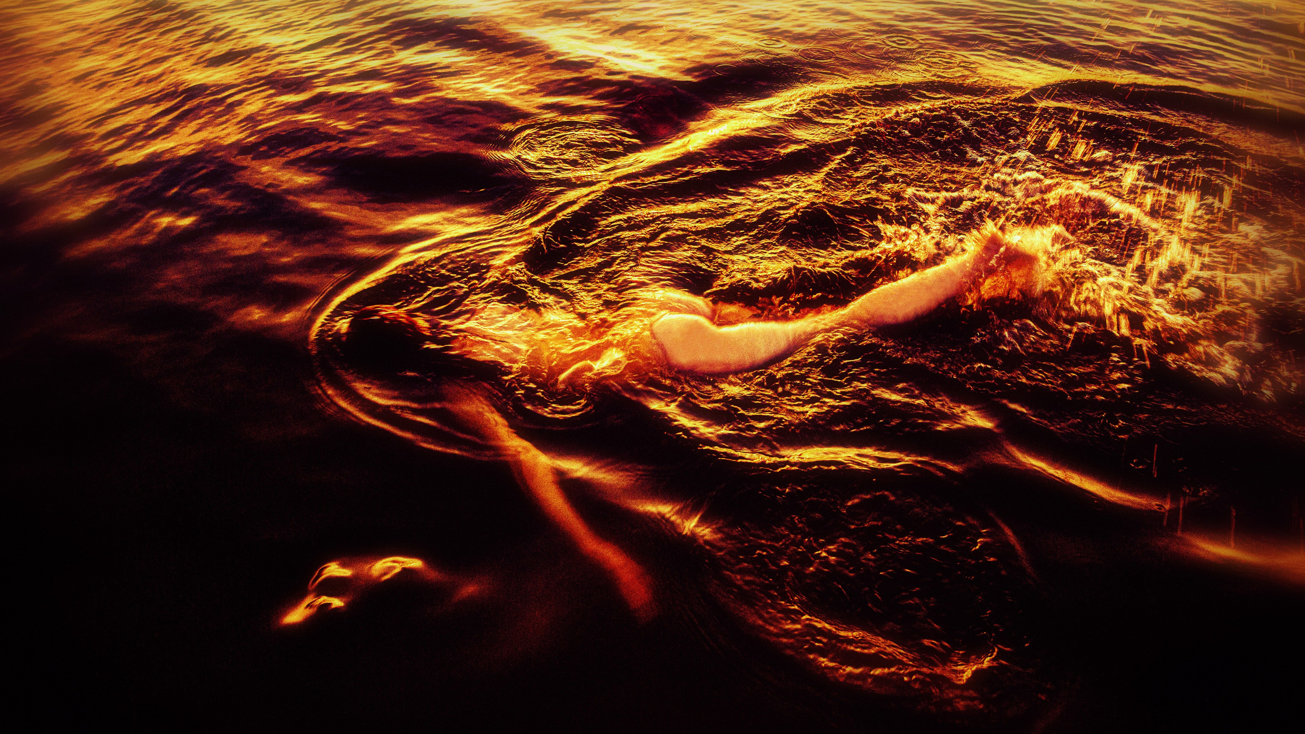 Даниэлла. Черно-белый фотограф Дмитрий Пчелкин