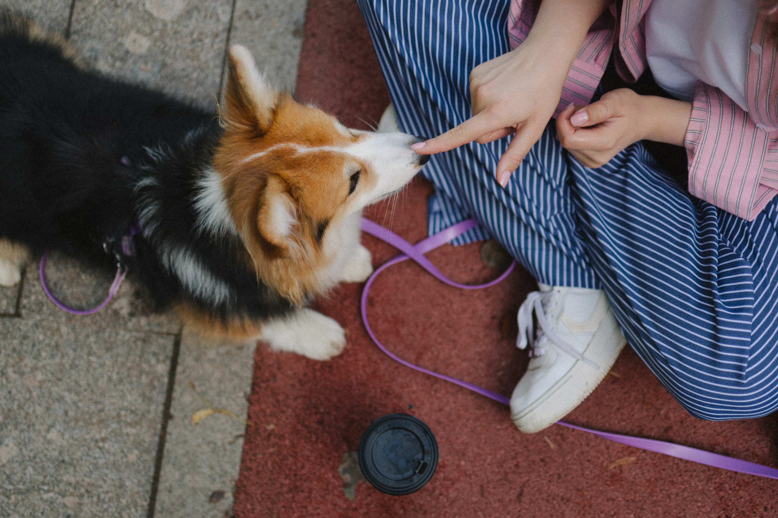 Мишель и Влада. Фотораф — анималист Мария Шистка