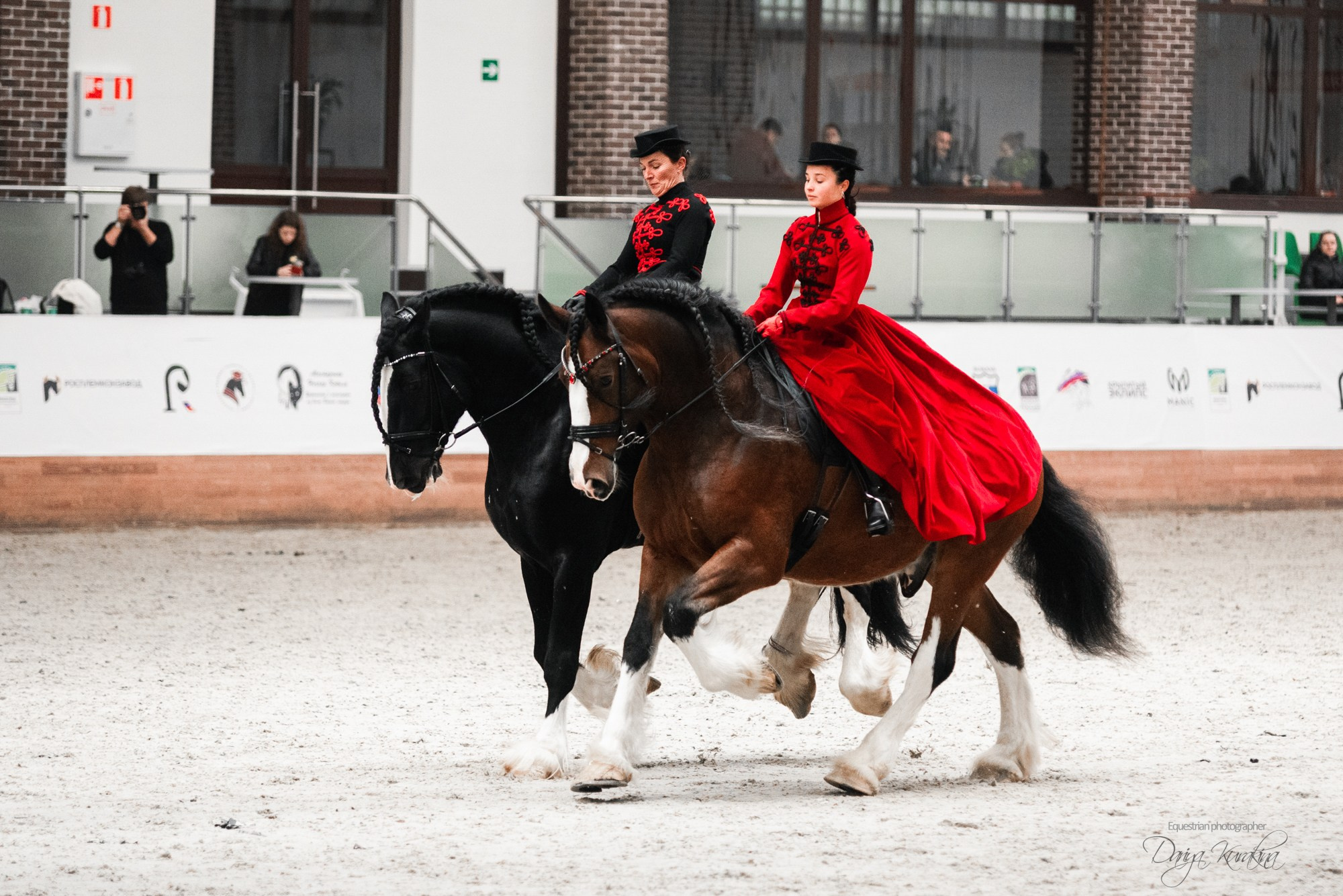 8-я международная выставка Конная Россия. Конный фотограф Куракина Дарья • Фотосессии с лошадьми