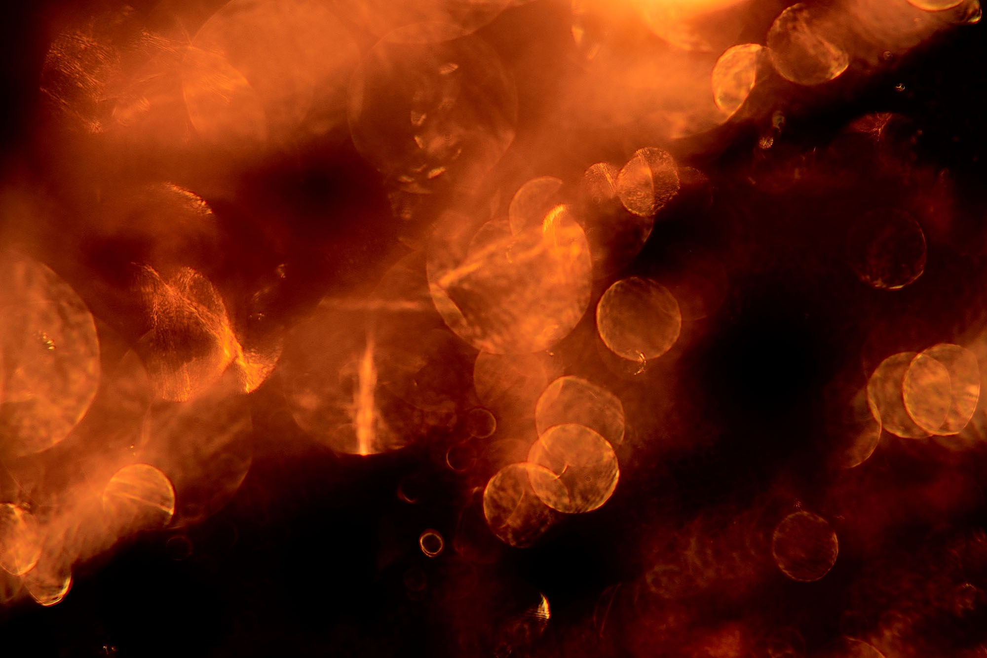 Макро-абстракция «Блики» | Лимитированная серия. Sandra Marselly | Абстрактная Макро-Фотография