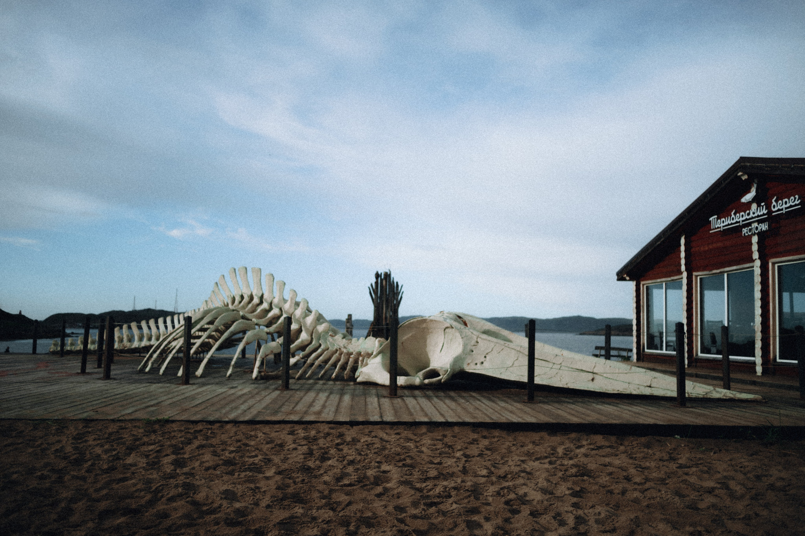 Териберка, Мурманск. Фотосъёмка для компании по организации туров в коллаборации с Яндекс 360