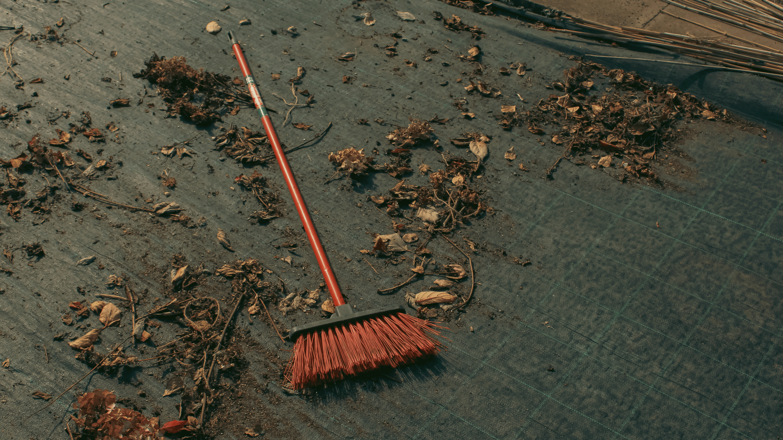 TMN ivapark '24. Фотограф/дизайнер в Екатеринбурге Хитрый Дмитрий