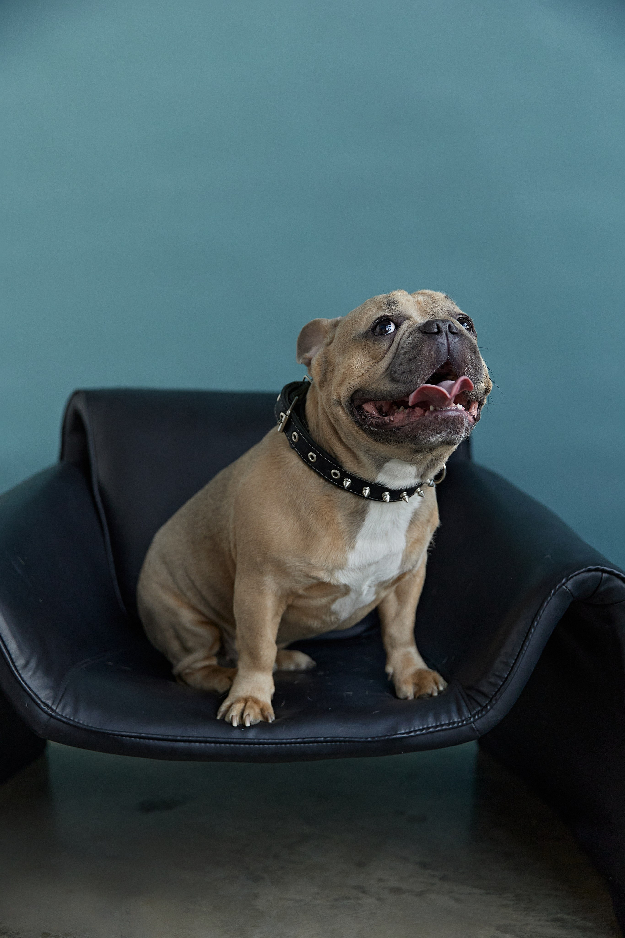 Наталья. Фотограф женского портрета, беременности и материнства Харькова Елена