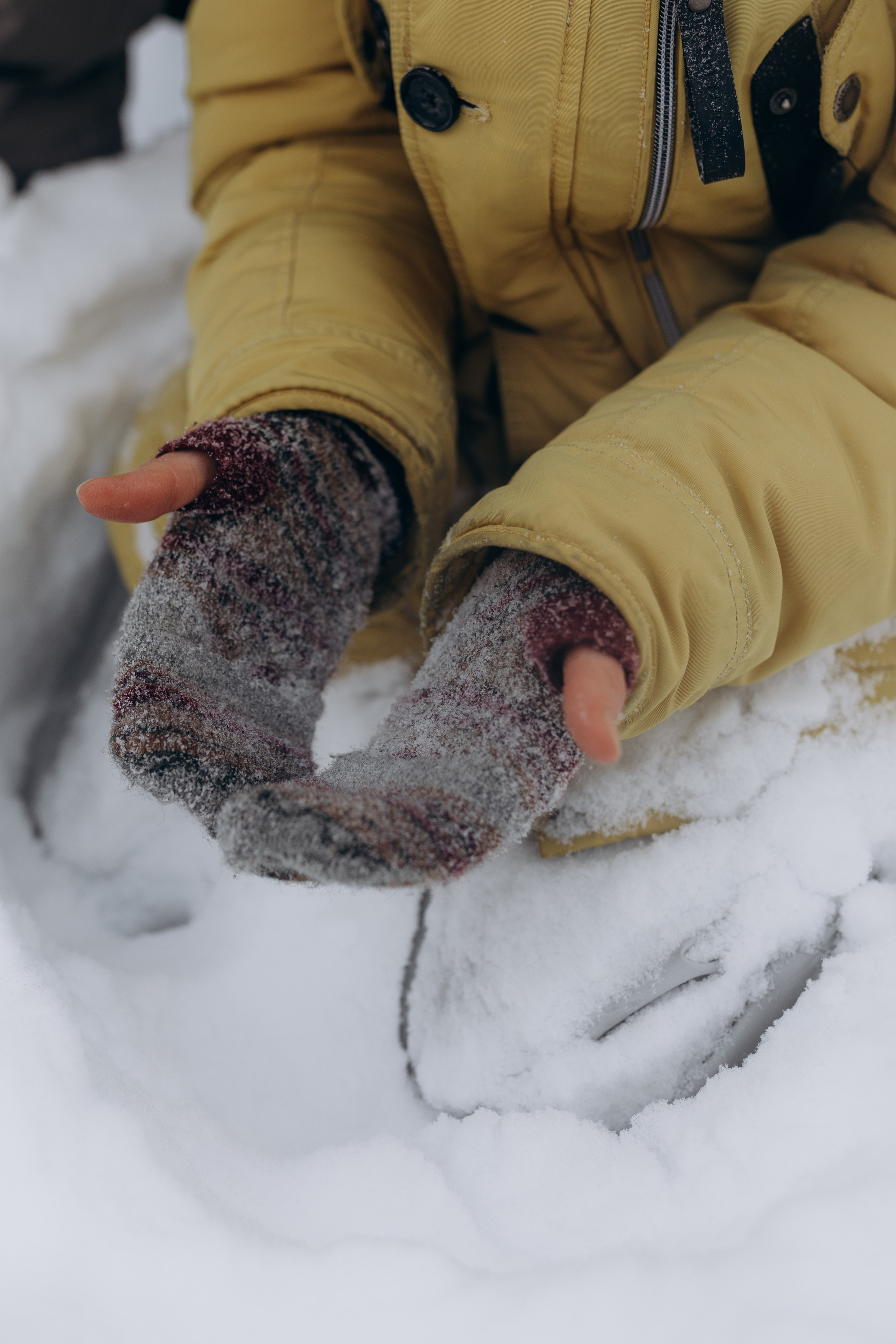 Федор и Саша. Фотограф Людмила Оюн