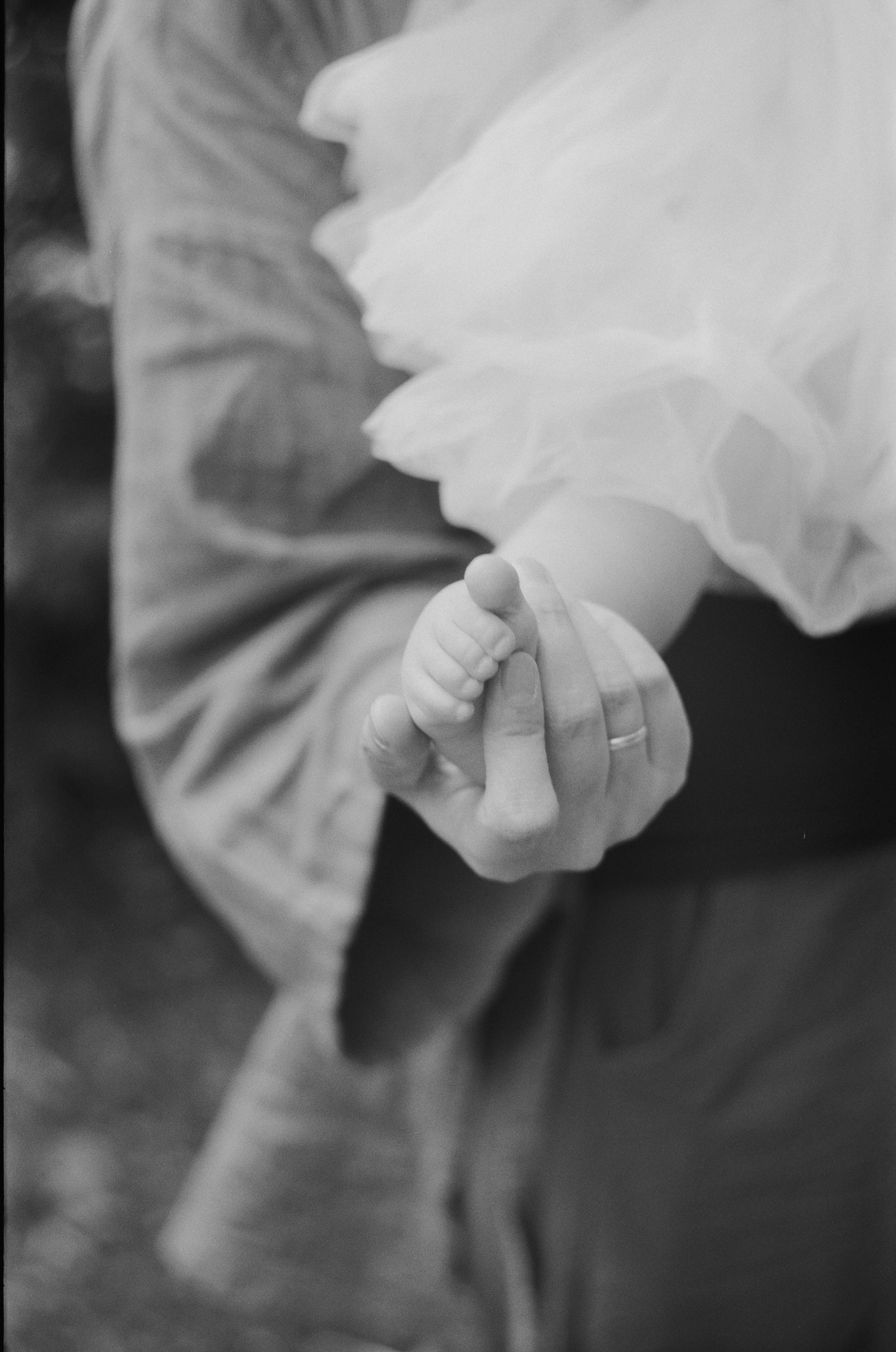 Пикник для мам. Плёнка. Настя Оленченко, портретный/семейный фотограф на цифру и плёнку Москва