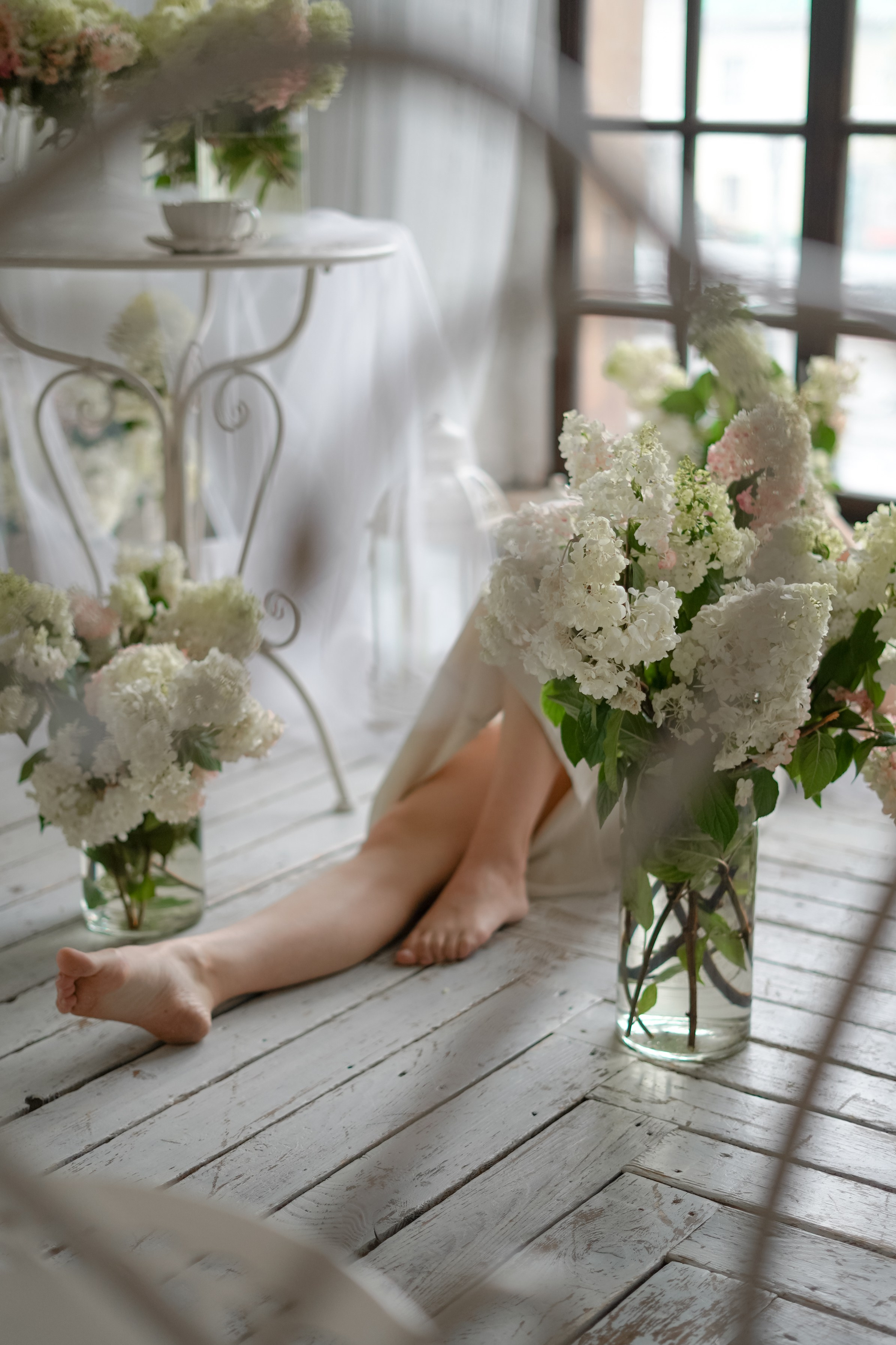 В ароматах гортензий. Фотограф Татьяна Митрофанова