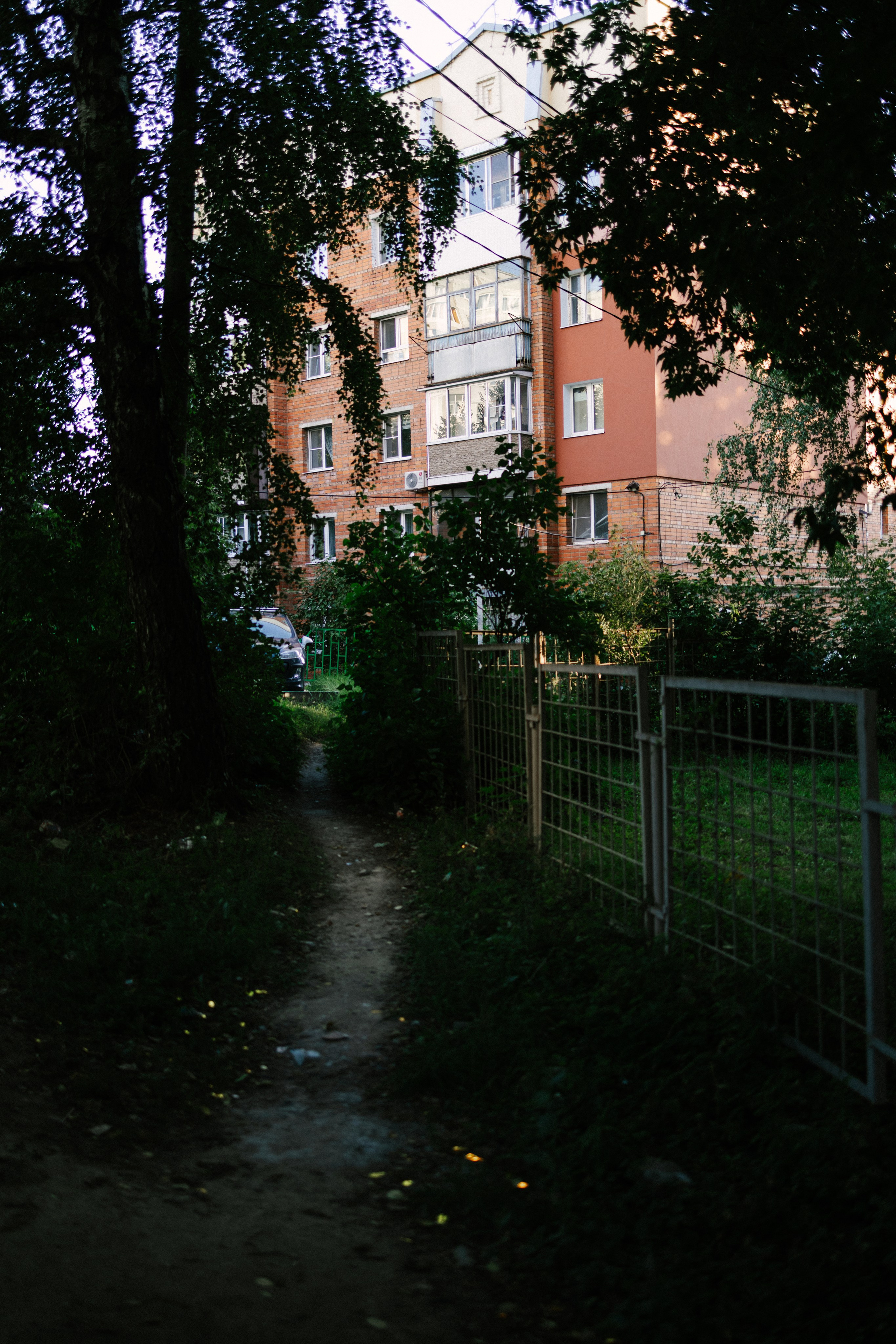 Криволучье, август 26. Свадебный и портретный фотограф — Мария Костина