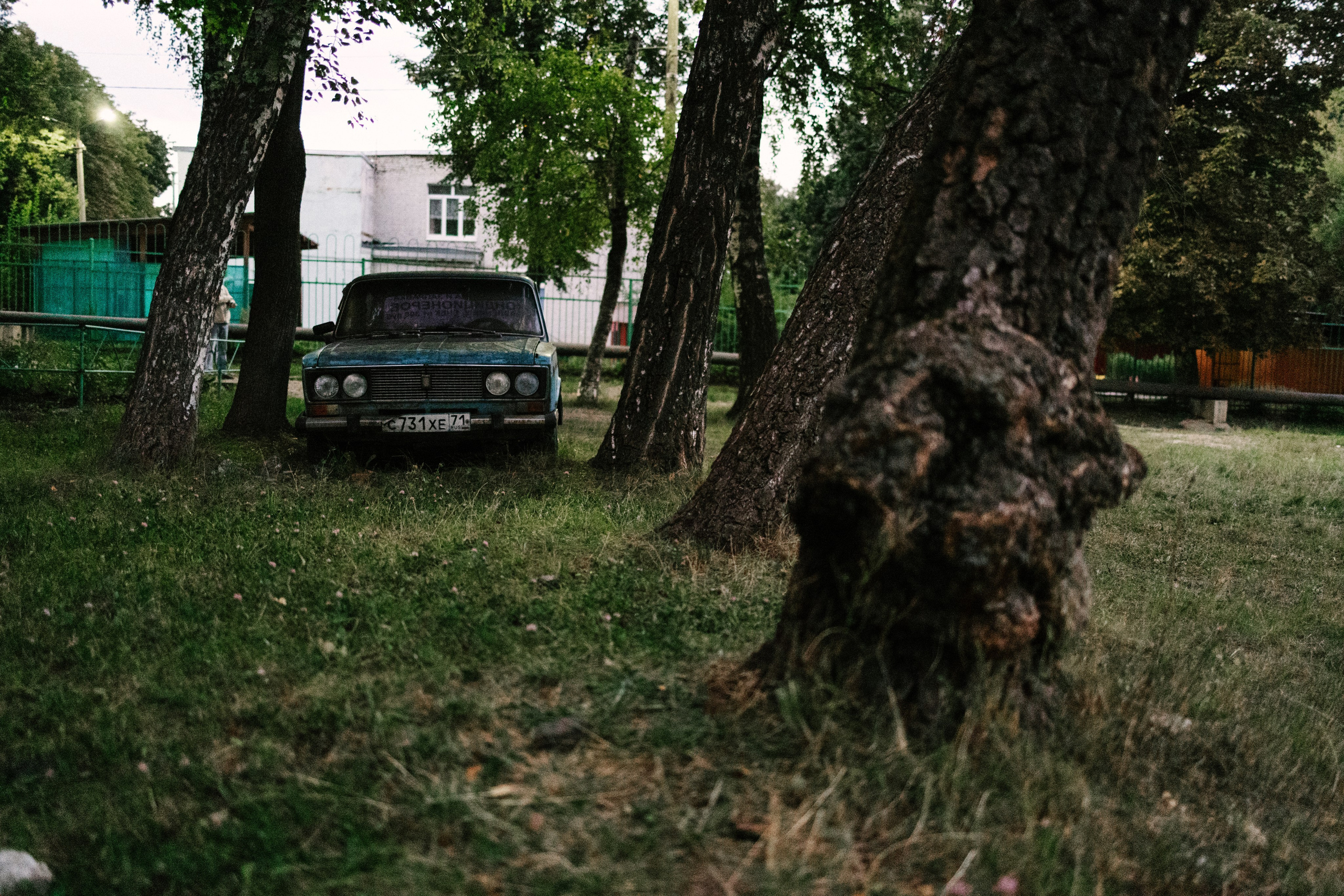 Криволучье, август 26. Свадебный и портретный фотограф — Мария Костина