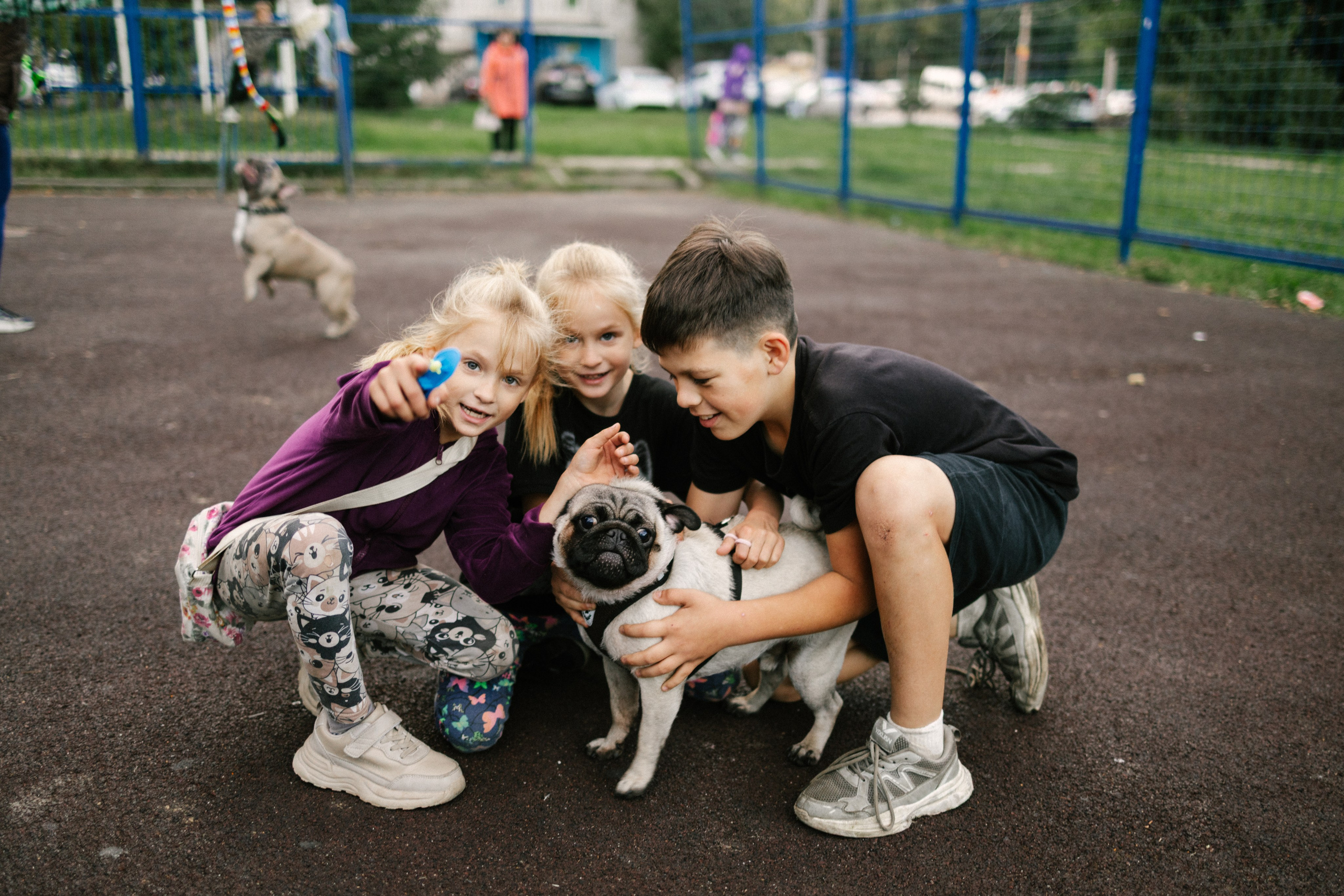 Криволучье, август 26. Свадебный и портретный фотограф — Мария Костина