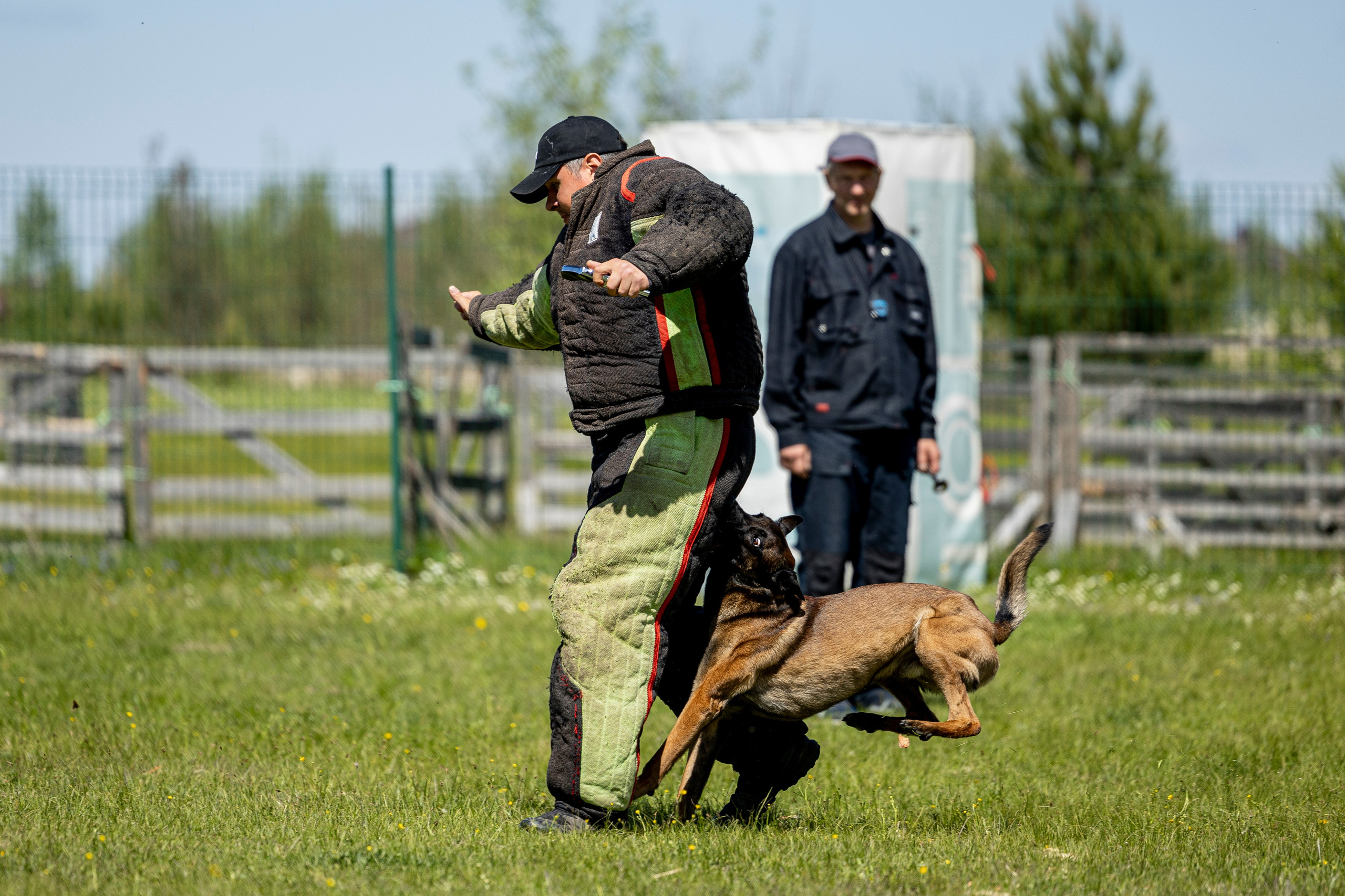 Испытания по мондьорингу в Нижнем Новгороде. Фотограф-анималист Анна Маринич