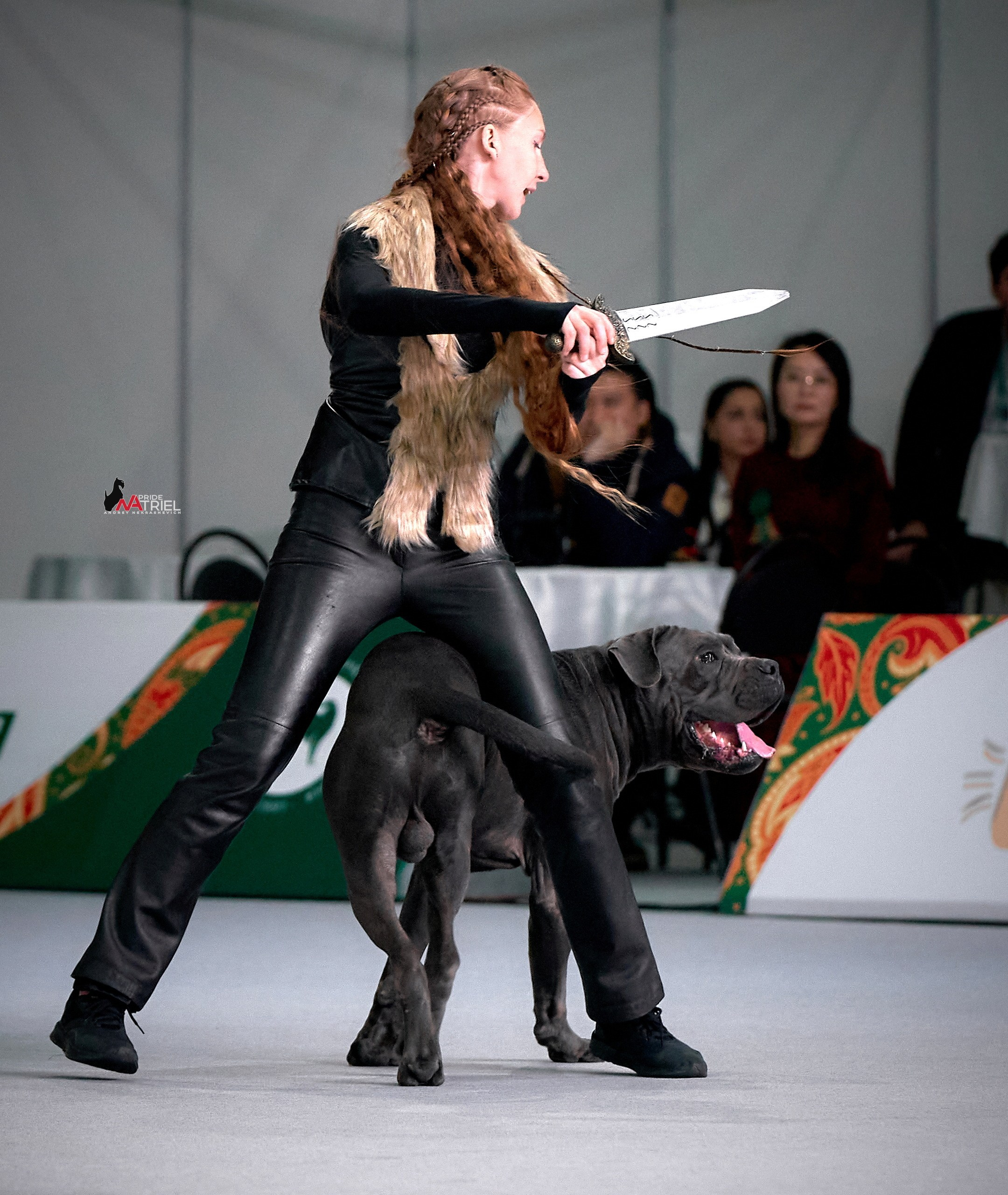 Обидиенс и танцы с собаками — галерея NATRIEL
