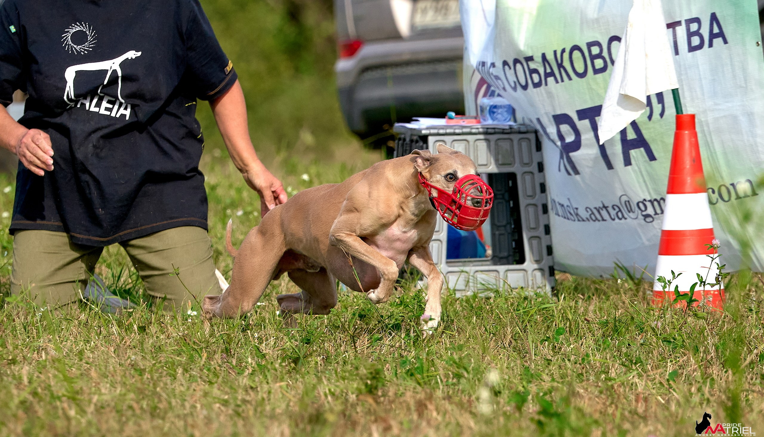 Съемка курсинг — галерея NATRIEL