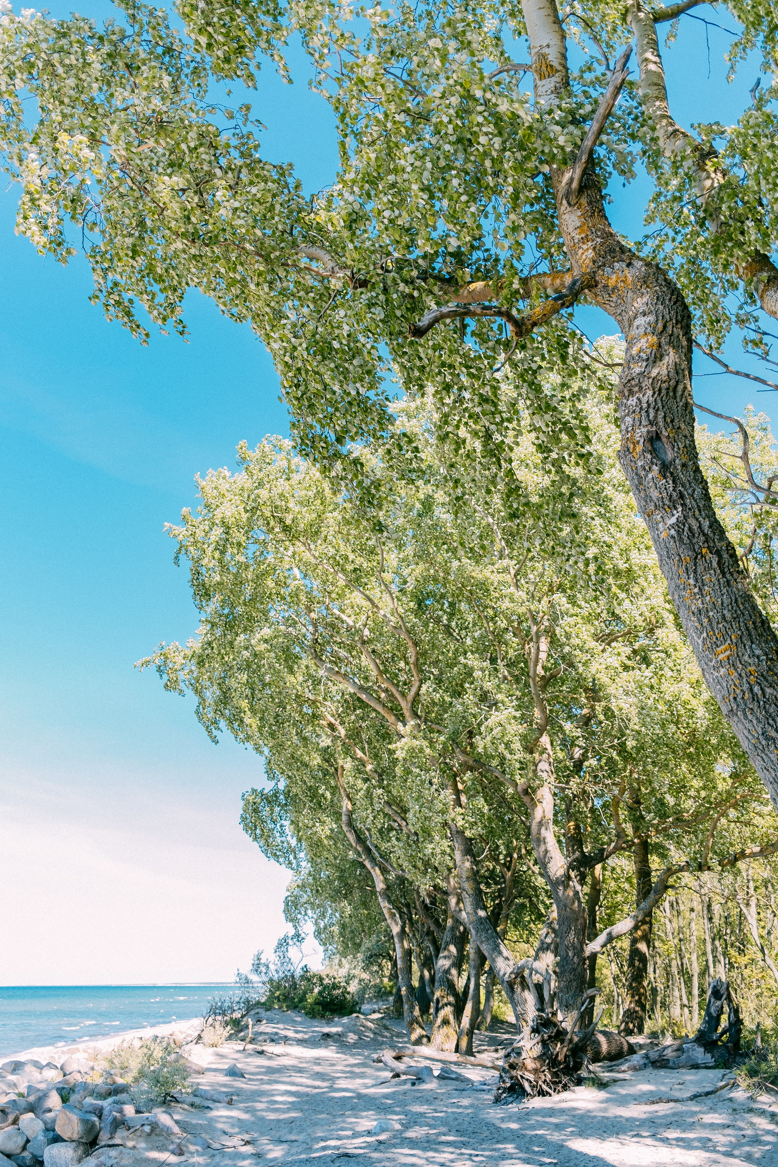 Зеленоградск. Аня Степанова