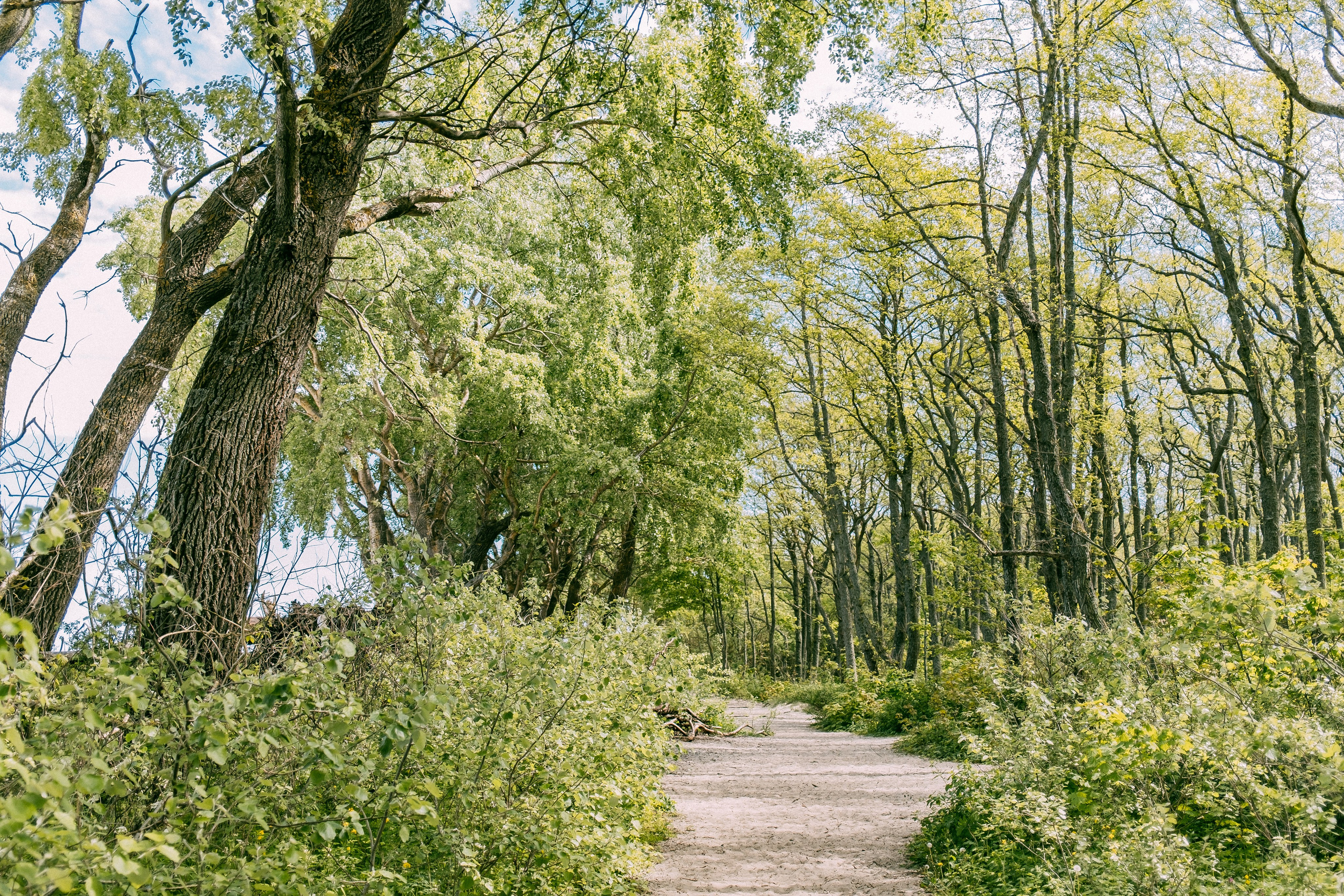 Зеленоградск. Аня Степанова